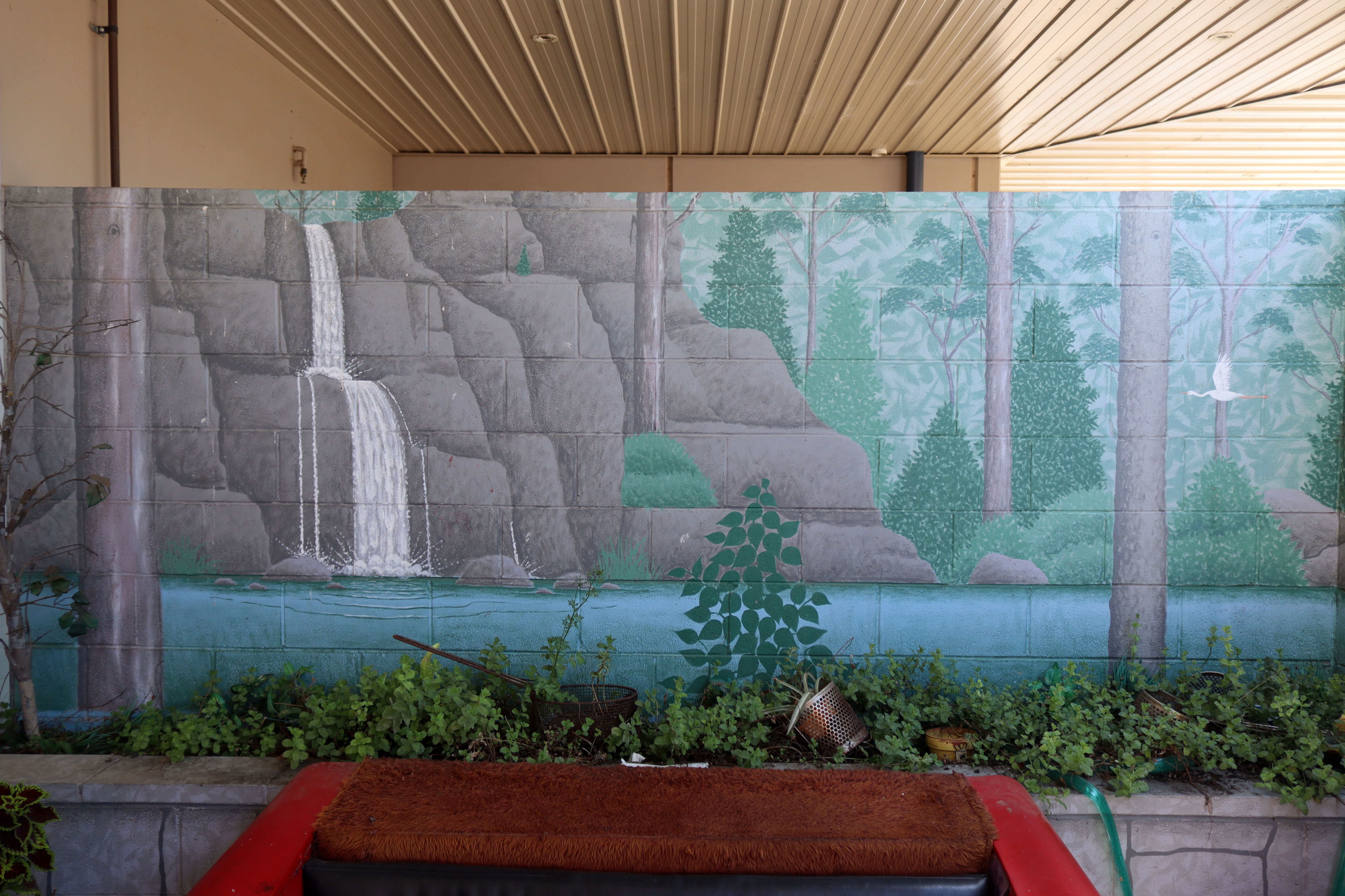 Untitled | Street Art NSW