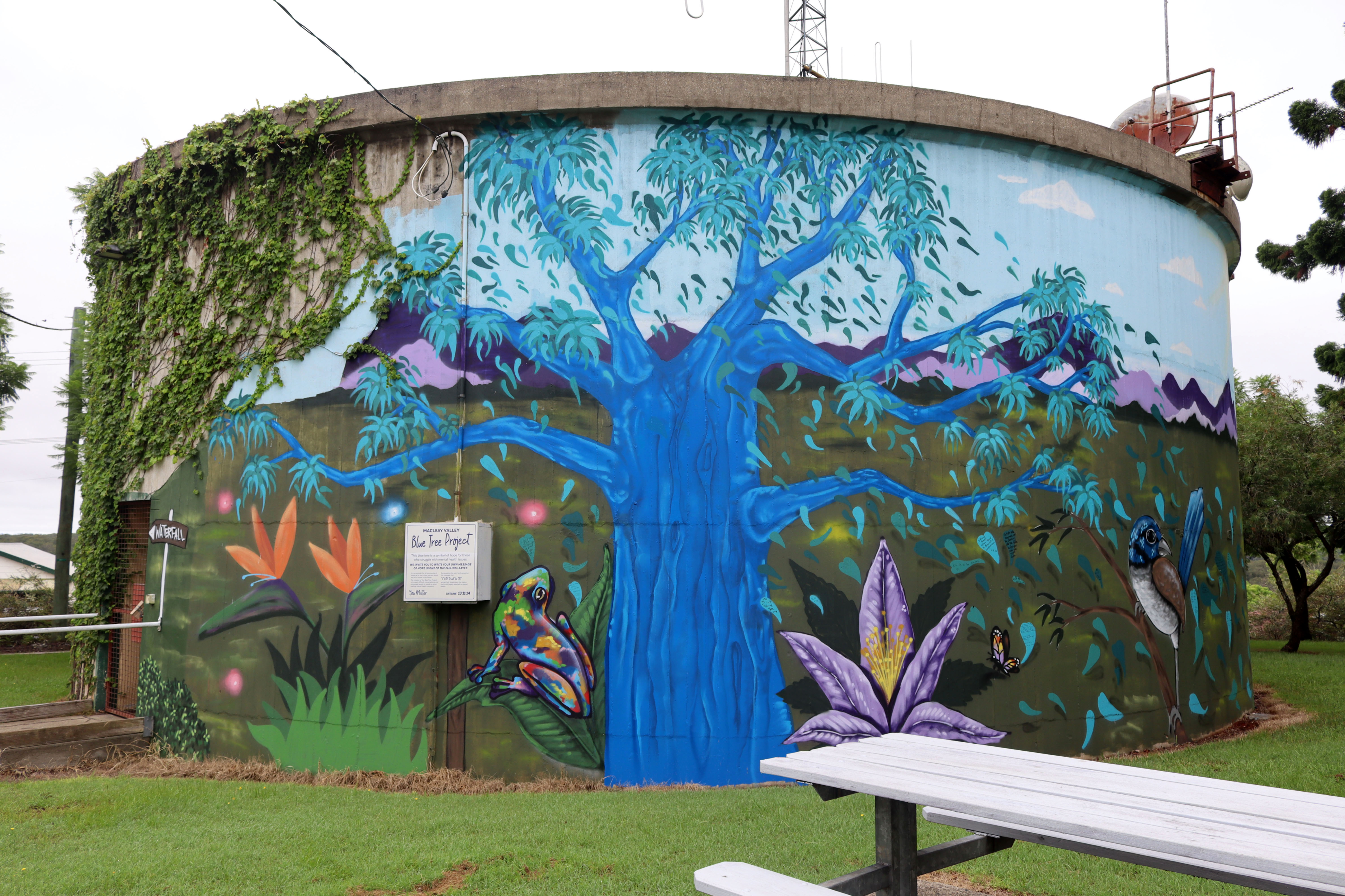 Macleay Valley Blue Tree Project by Iknograffix | Street Art NSW