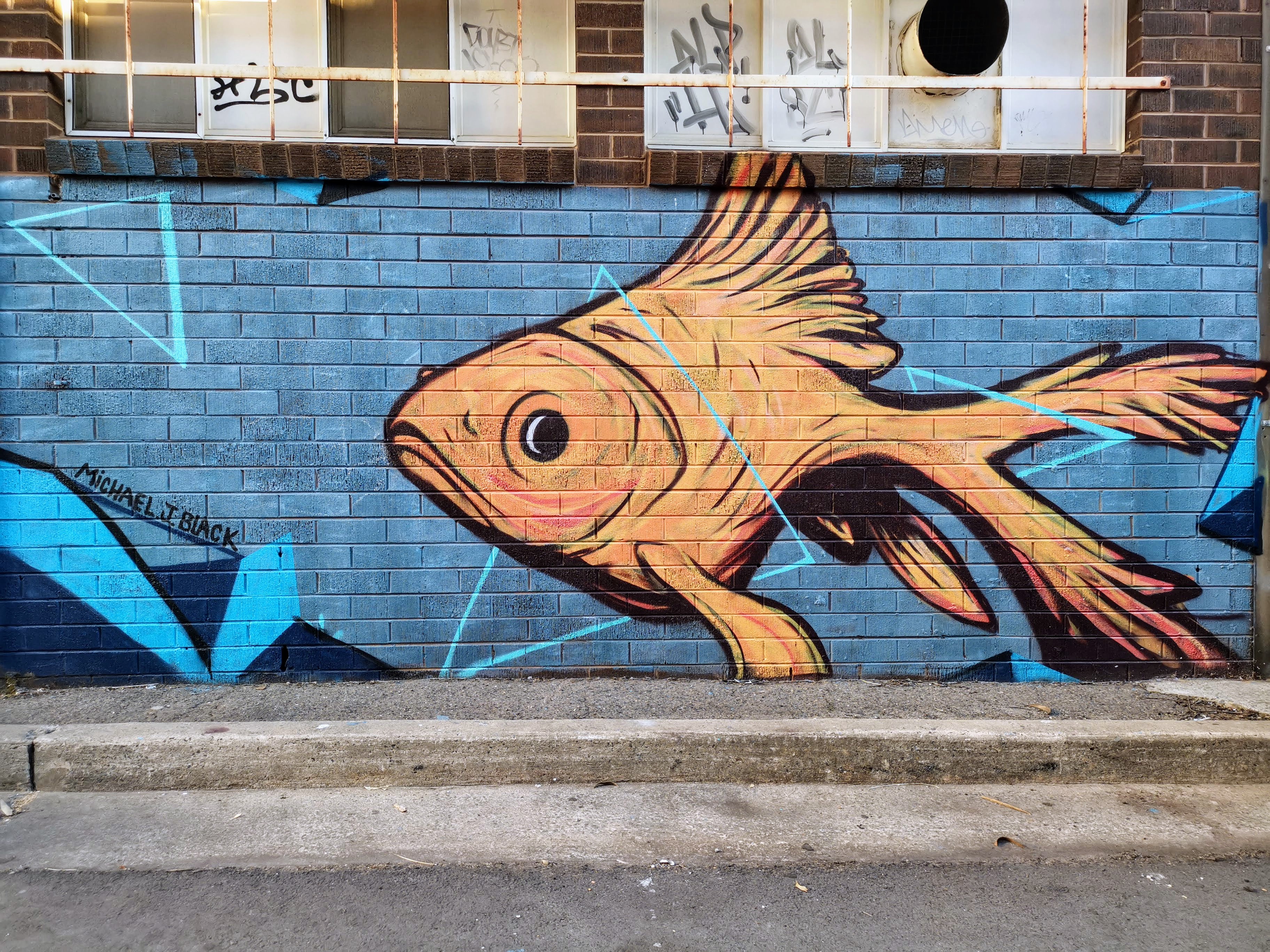 Goldfish by Michael J. Black | Street Art NSW