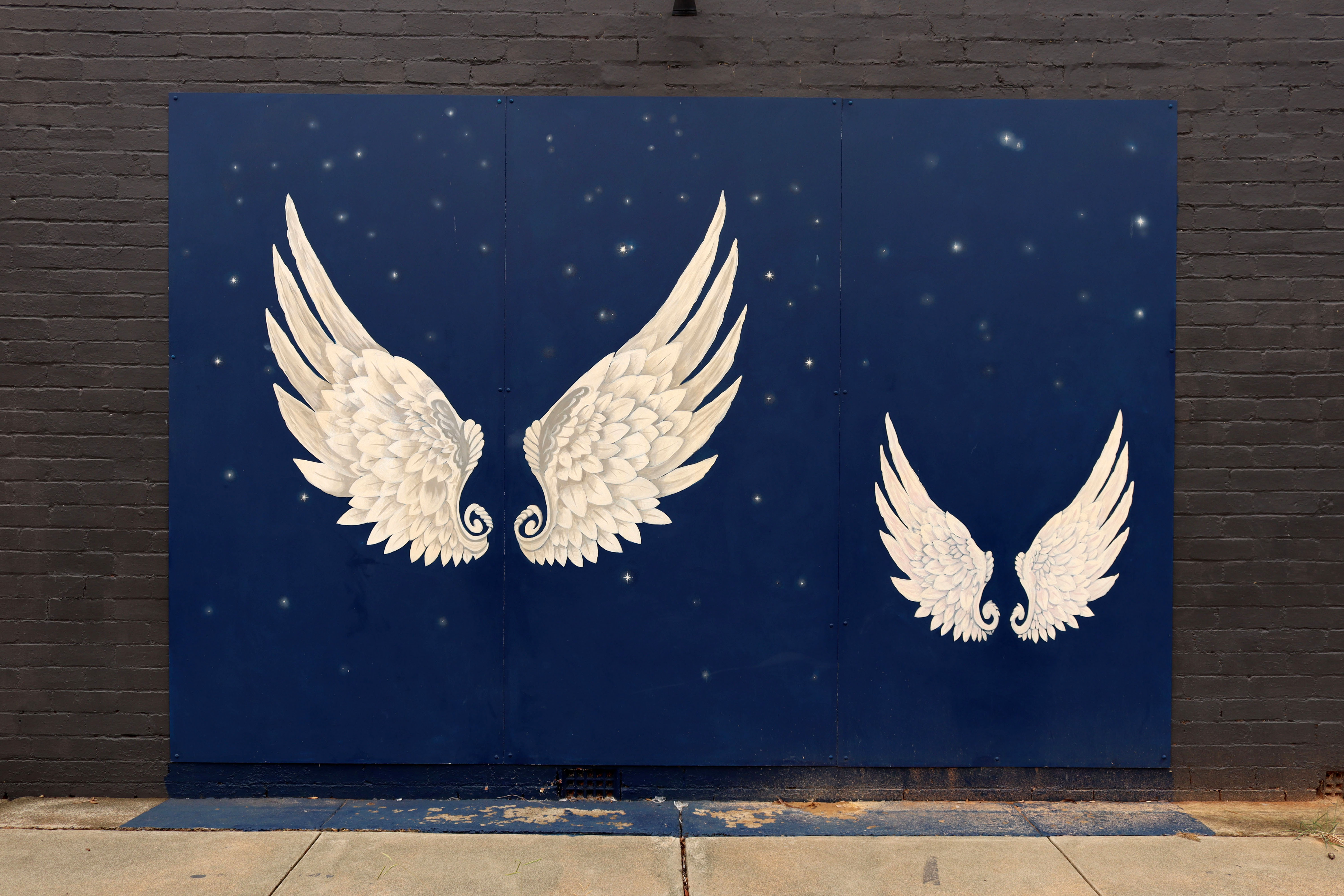 Angel Wings | Street Art NSW