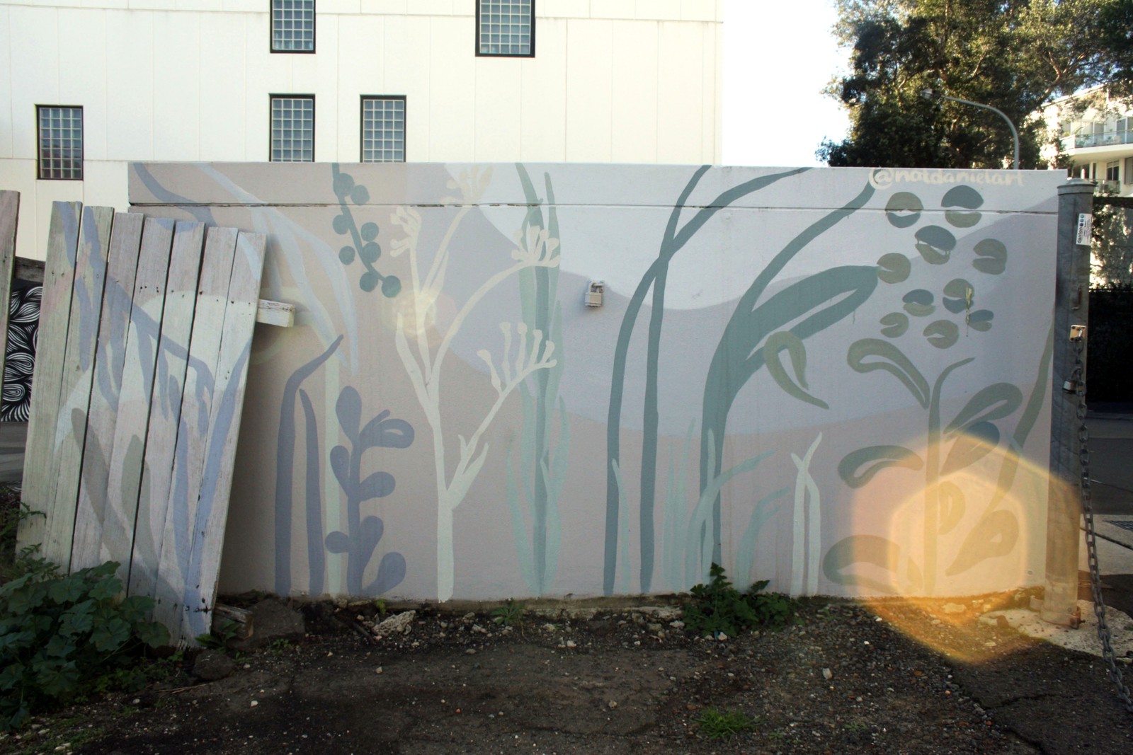 Untitled by Nataliya Daniel | Street Art NSW
