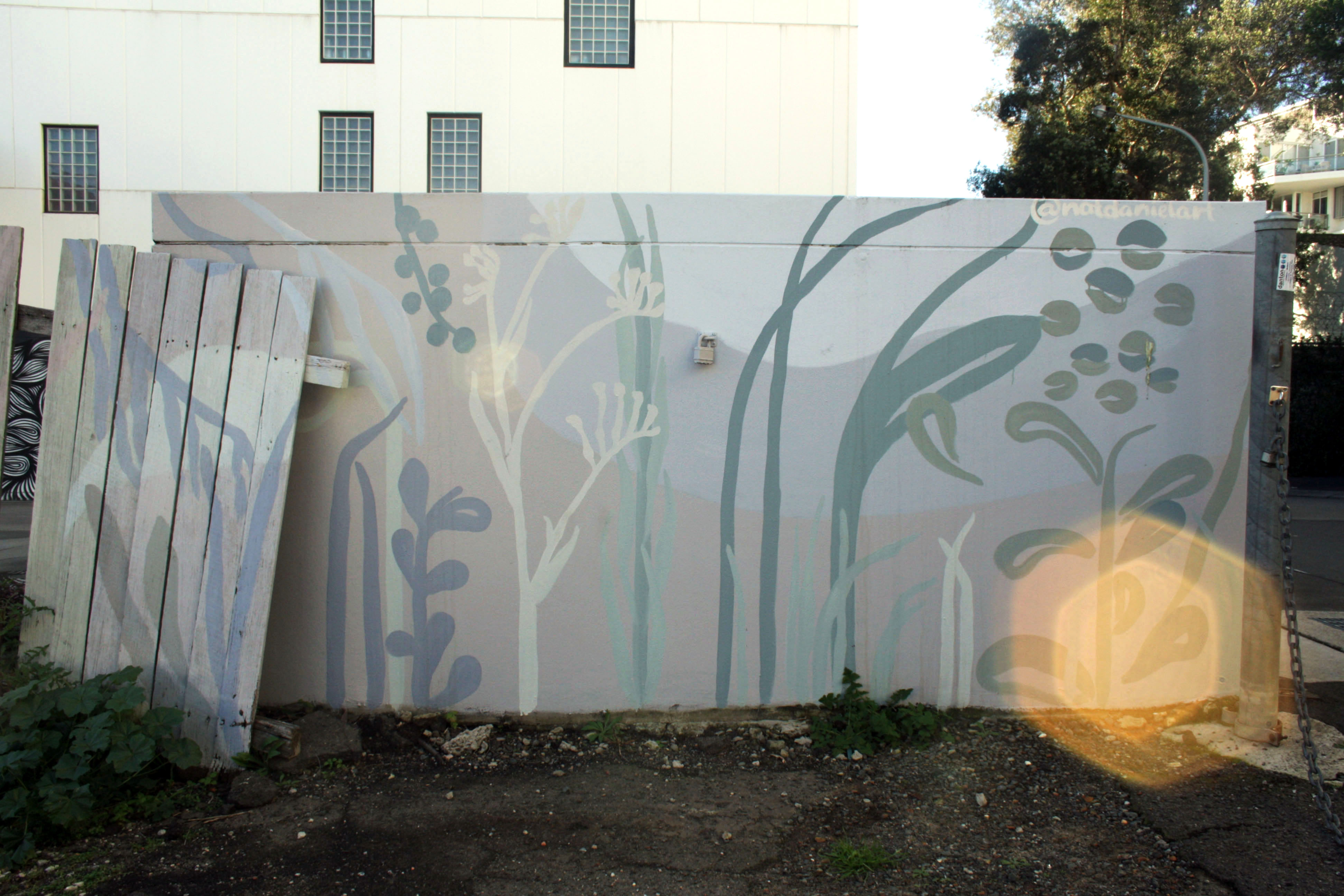Untitled by Nataliya Daniel | Street Art NSW