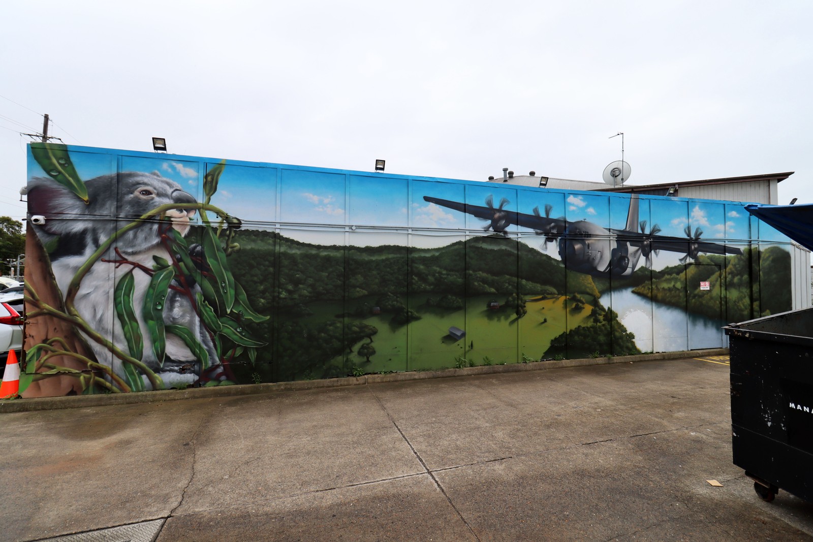 Untitled by Riots One | Street Art NSW