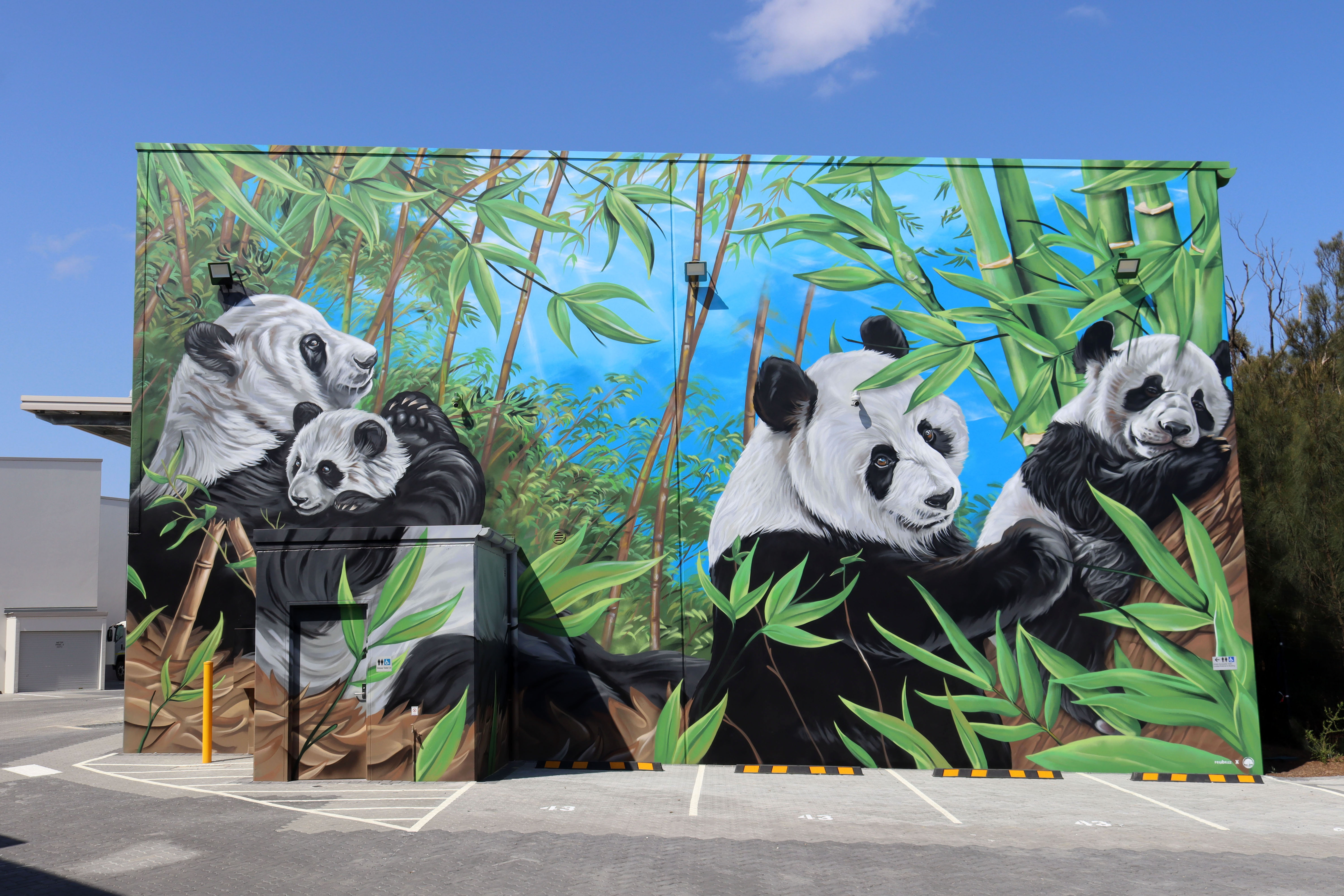Pandas by Reubszz | Street Art NSW