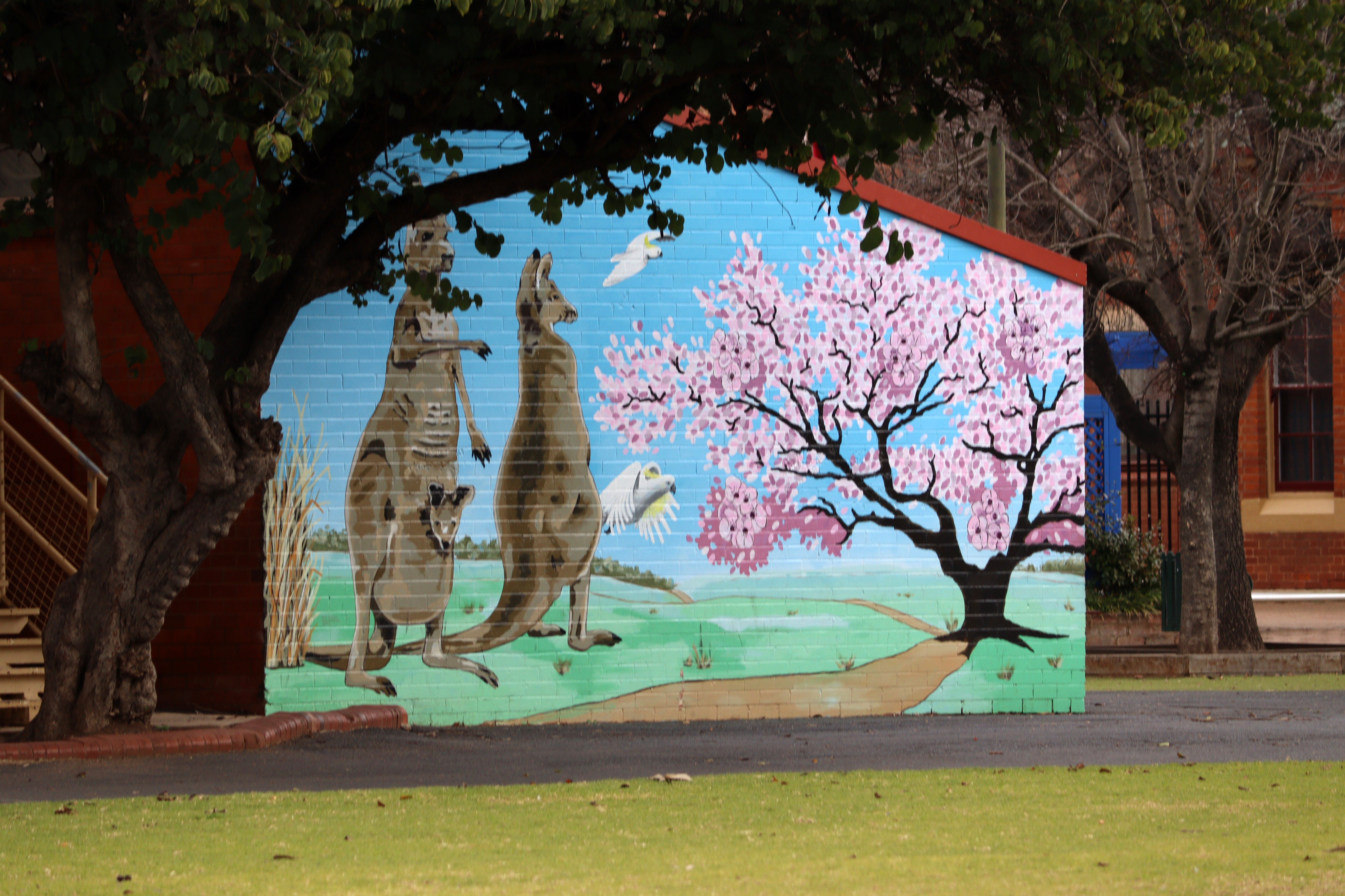 Untitled by Art Club Dub | Street Art NSW