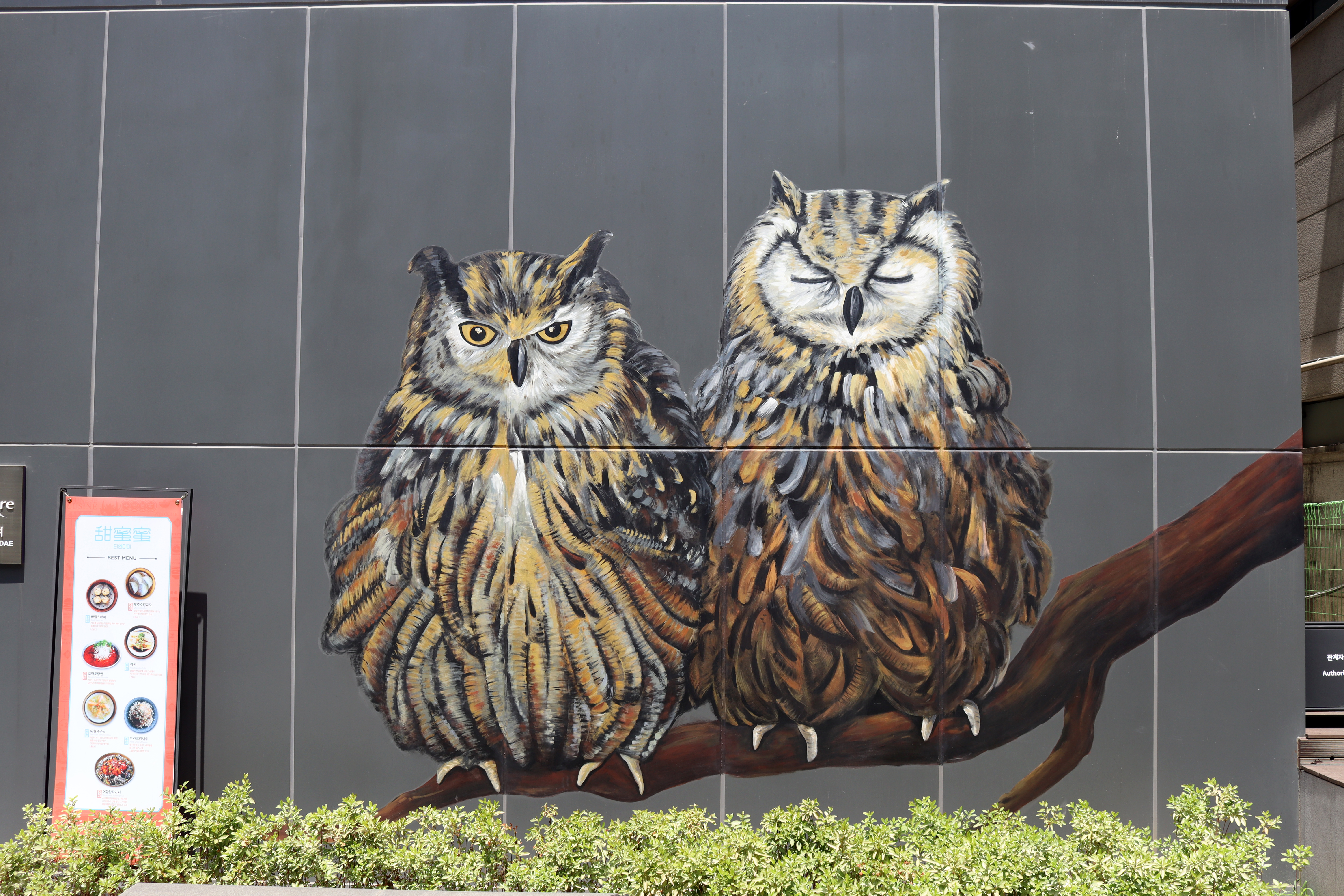 Untitled | Street Art NSW