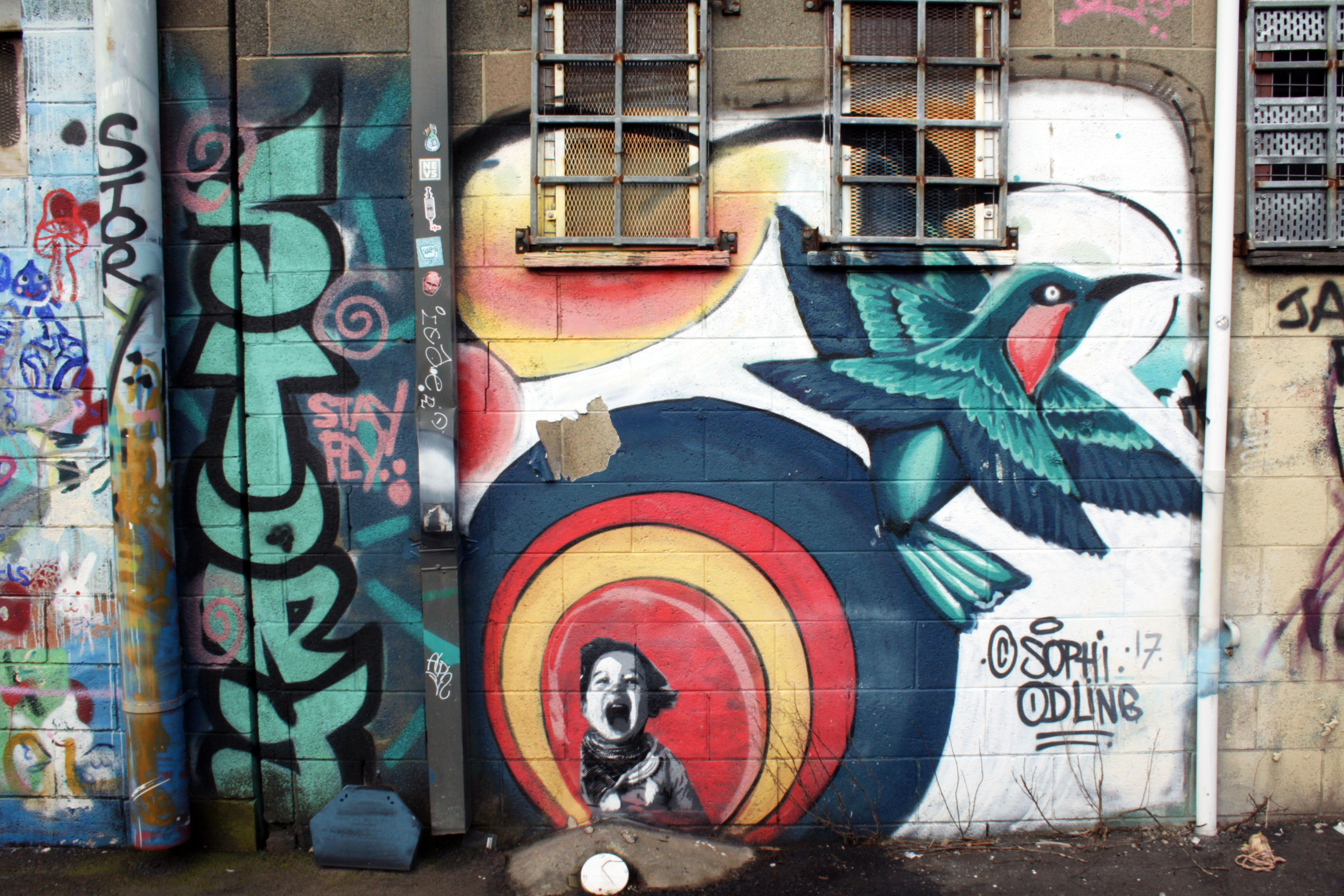 Untitled by Sophi Odling | Street Art NSW