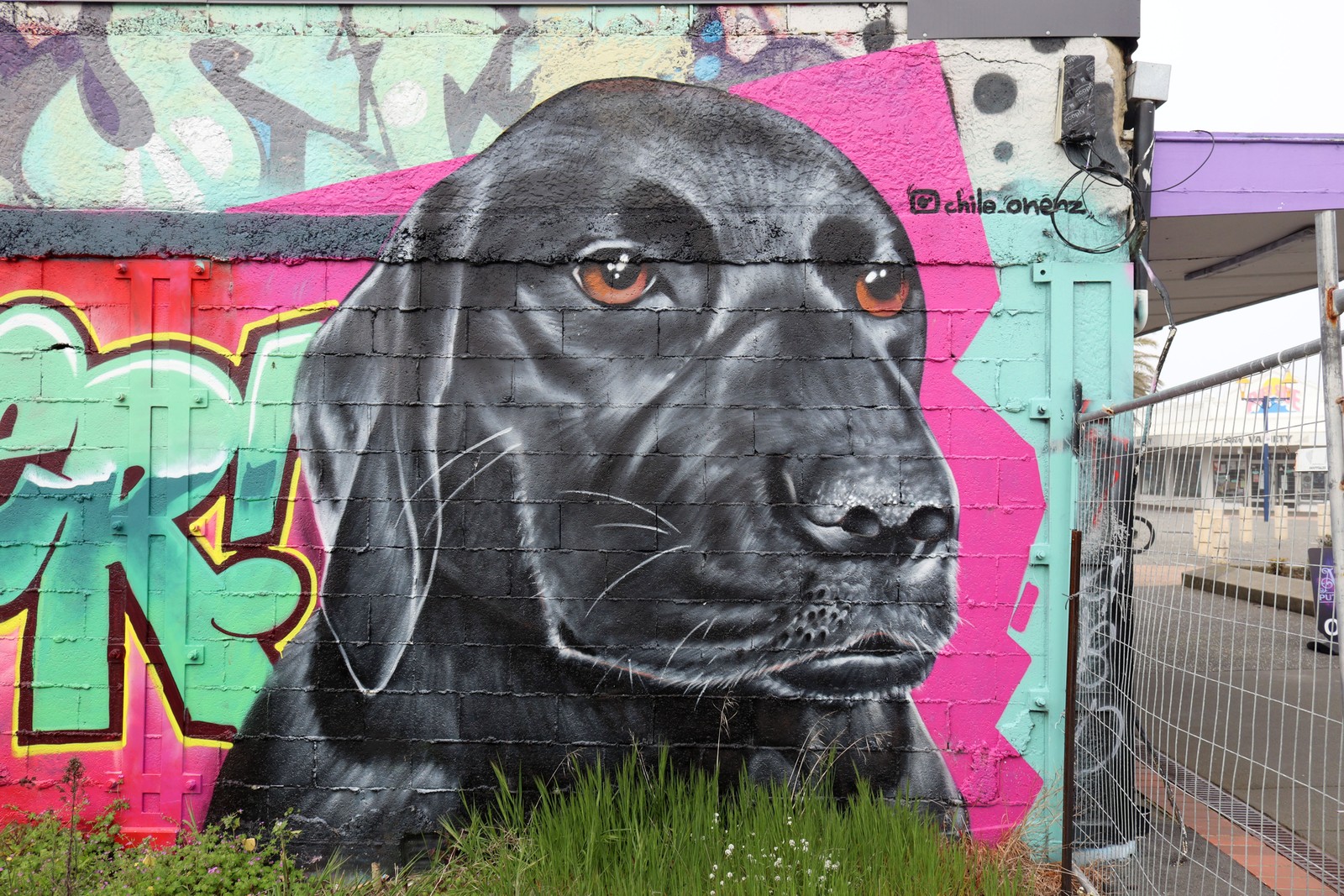 Machi by Chile One | Street Art NSW
