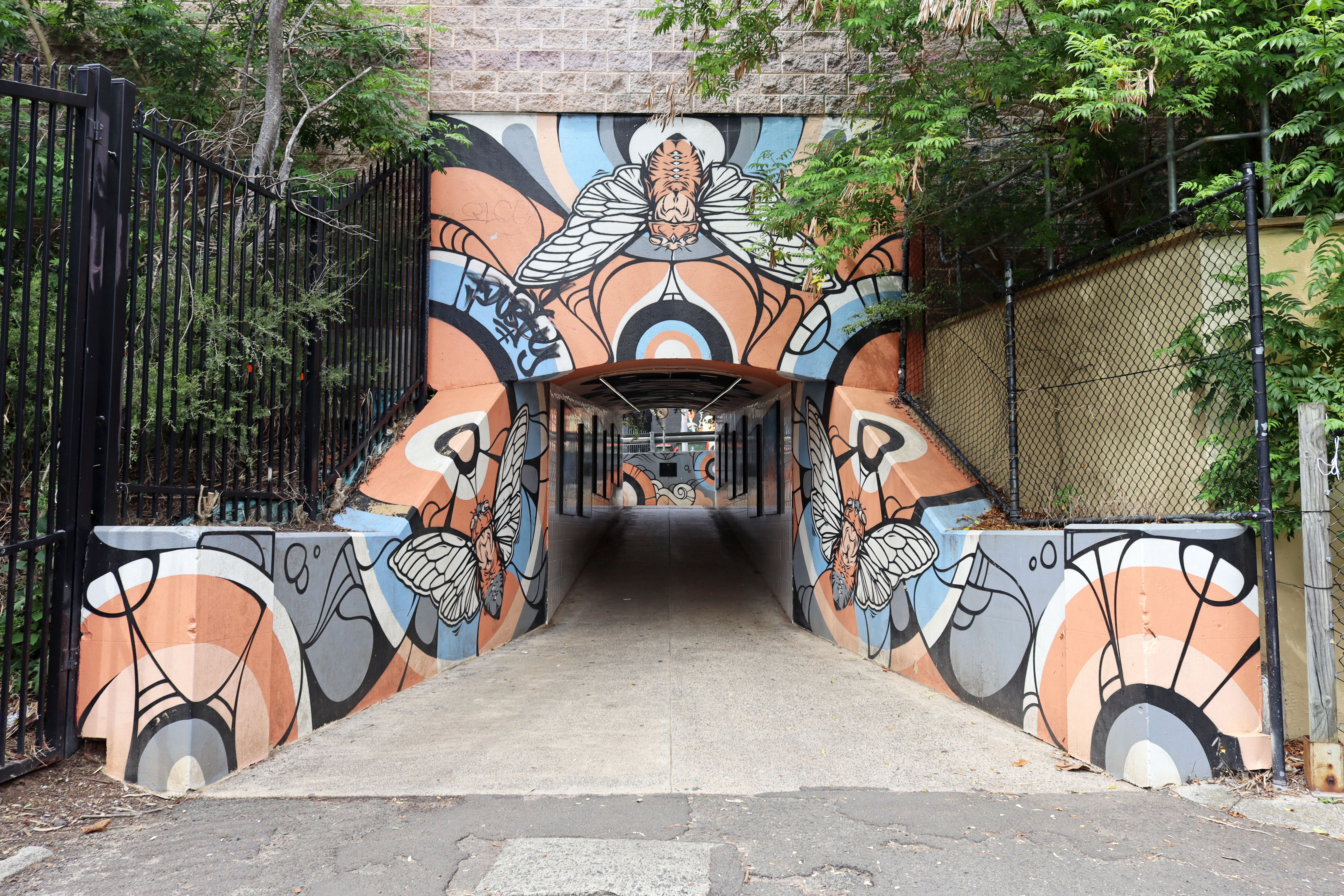 Cronulla Tunnel Gallery by Phibs | Street Art NSW