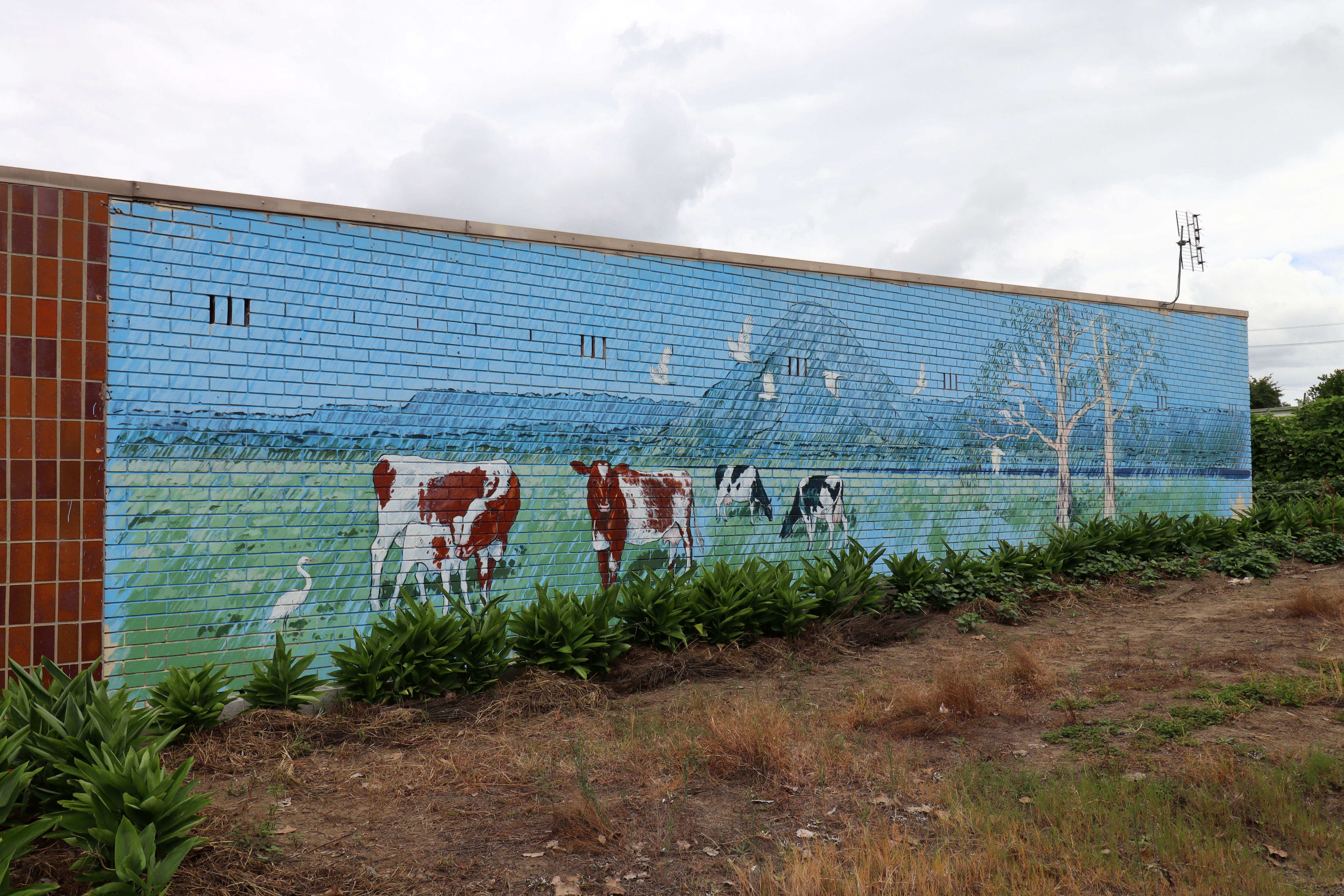 Untitled | Street Art NSW