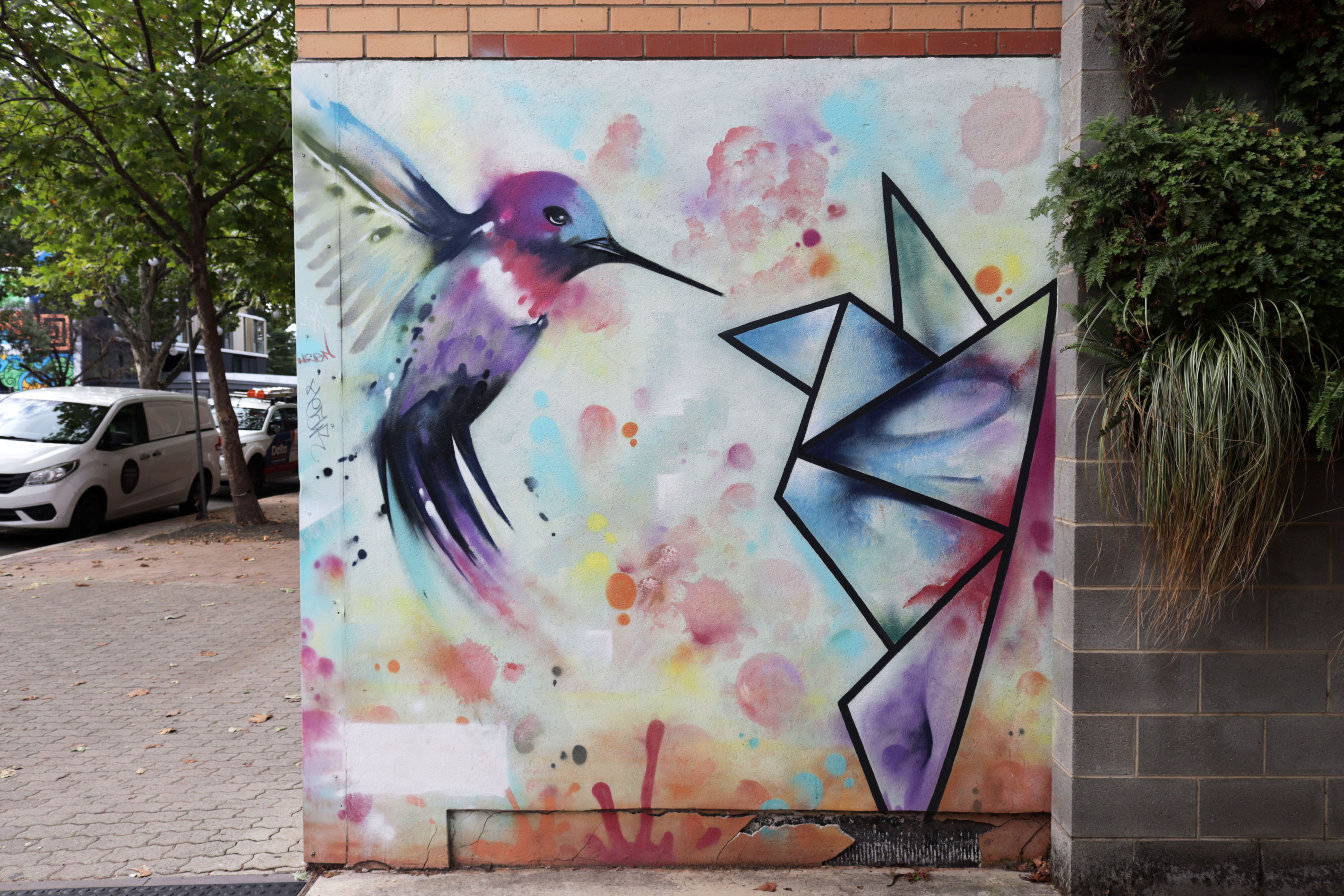 Hummingbird by Dai Cameron | Street Art NSW