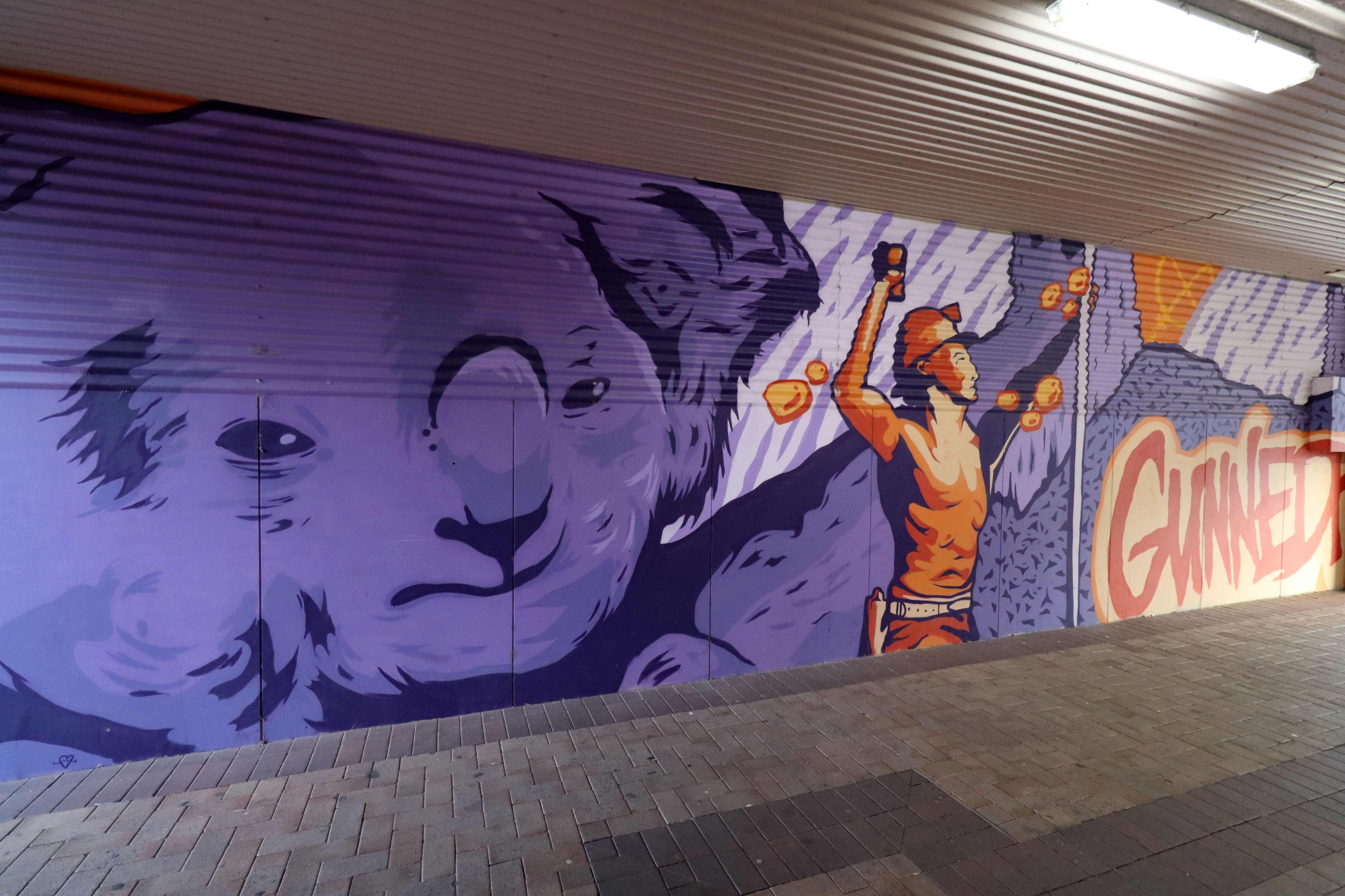 Gunnedah Mural by Silly Pear | Street Art NSW