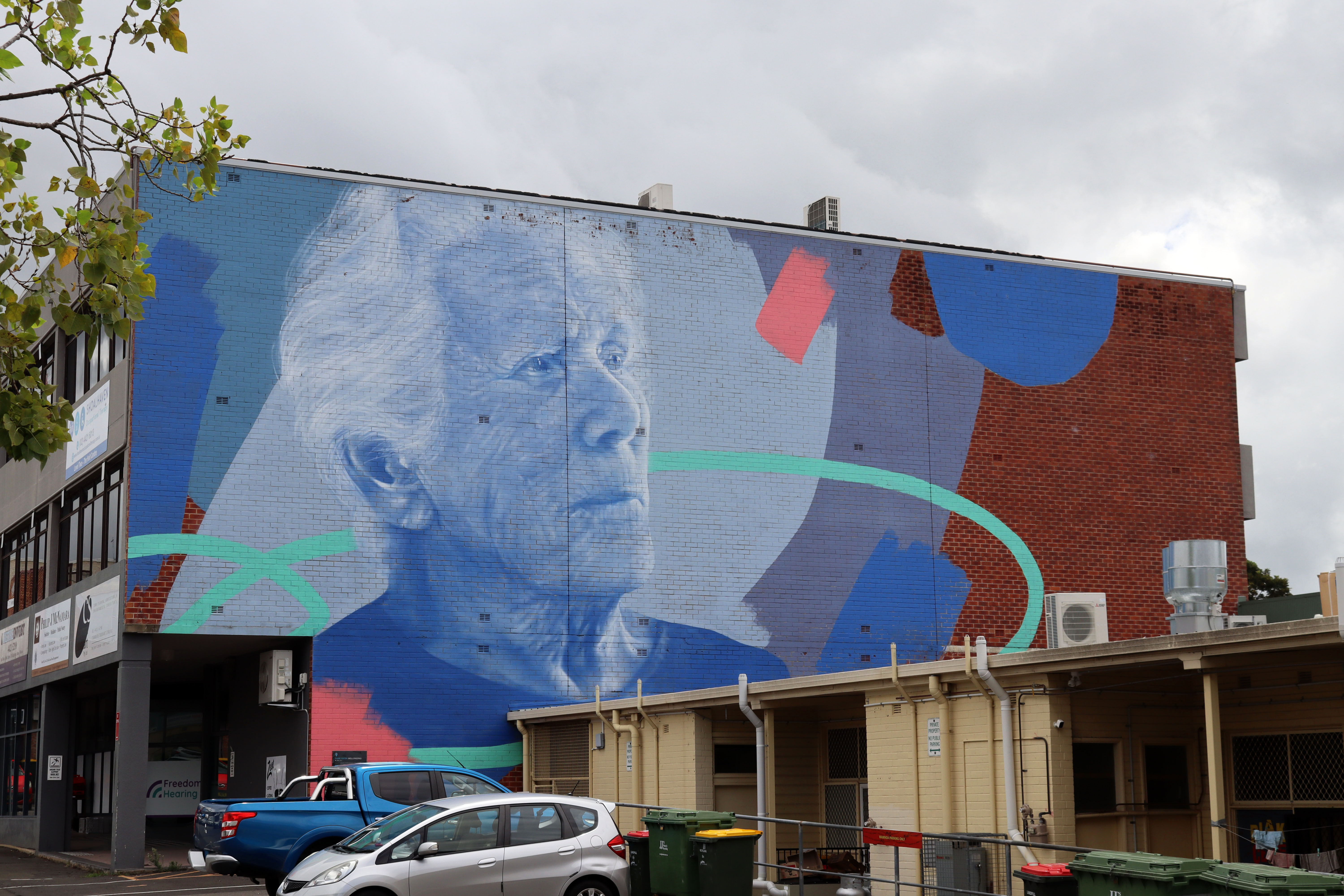 Narelle Hart by Claire Foxton | Street Art NSW