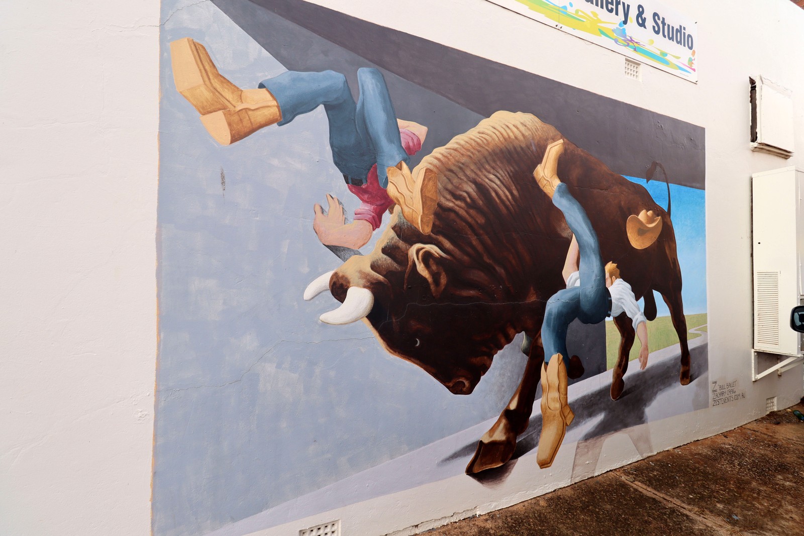 Bull Ballet by Zachary Craig | Street Art NSW