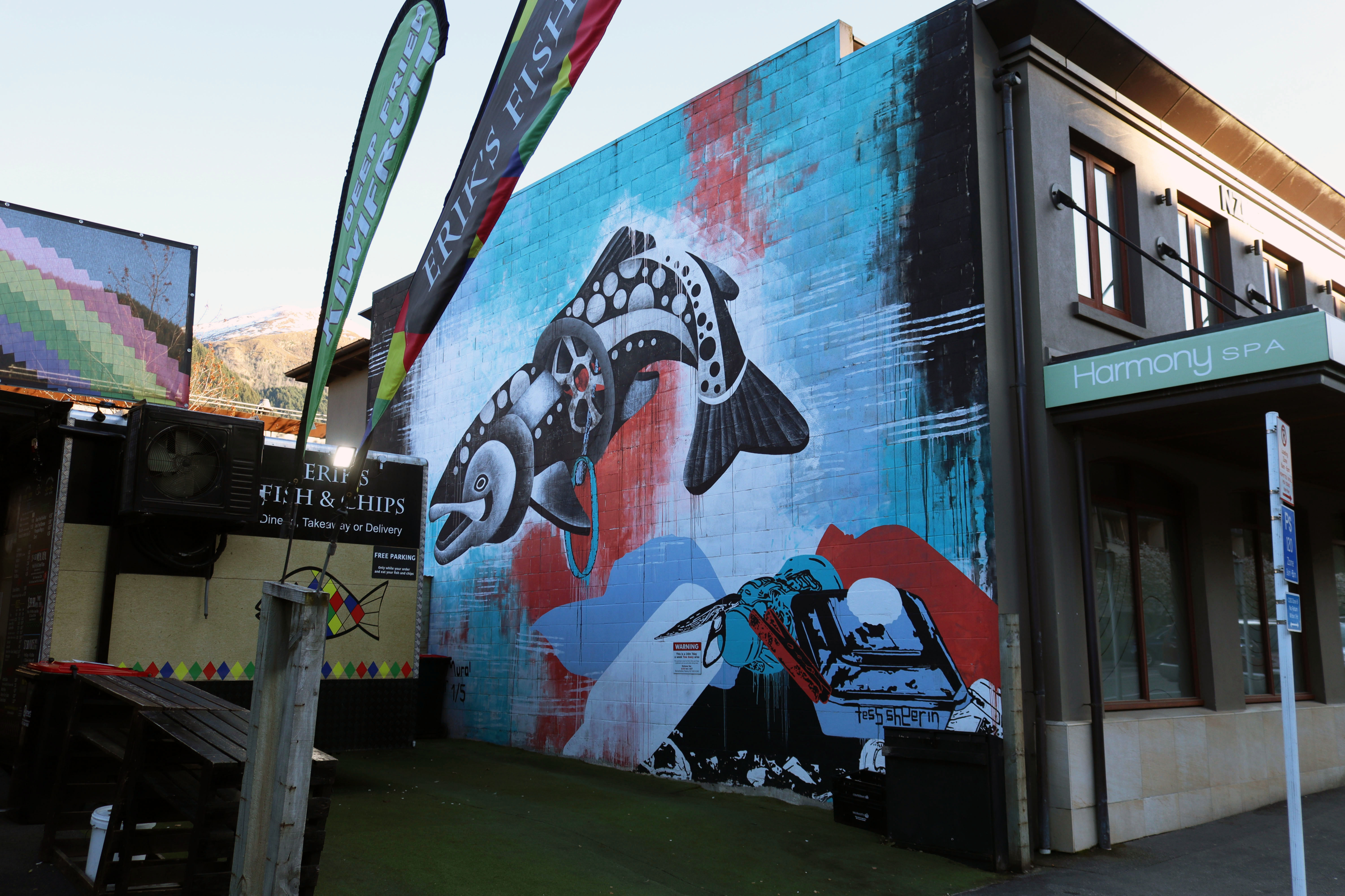 Drainbow Trout by Tess Sheerin | Street Art NSW