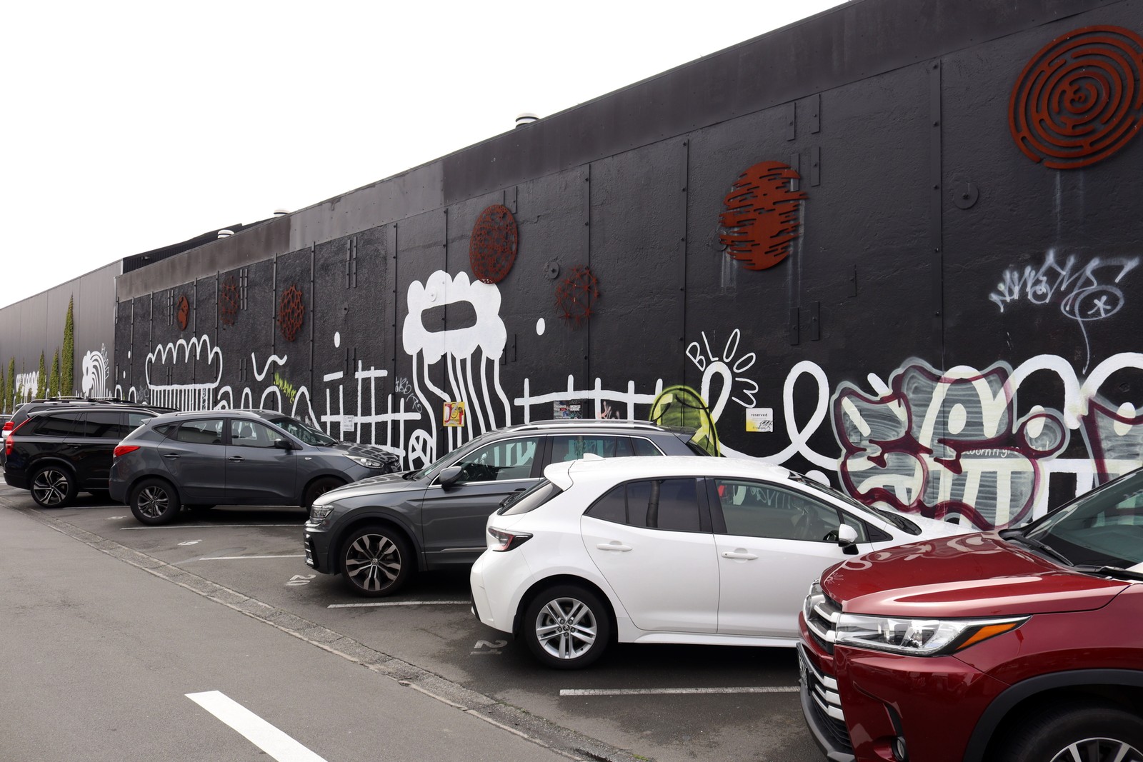 QB Blooms by Bloom | Street Art NSW