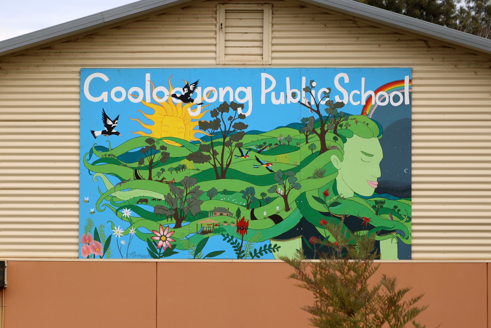 Gooloogong Public School by M Berneschi | Street Art NSW