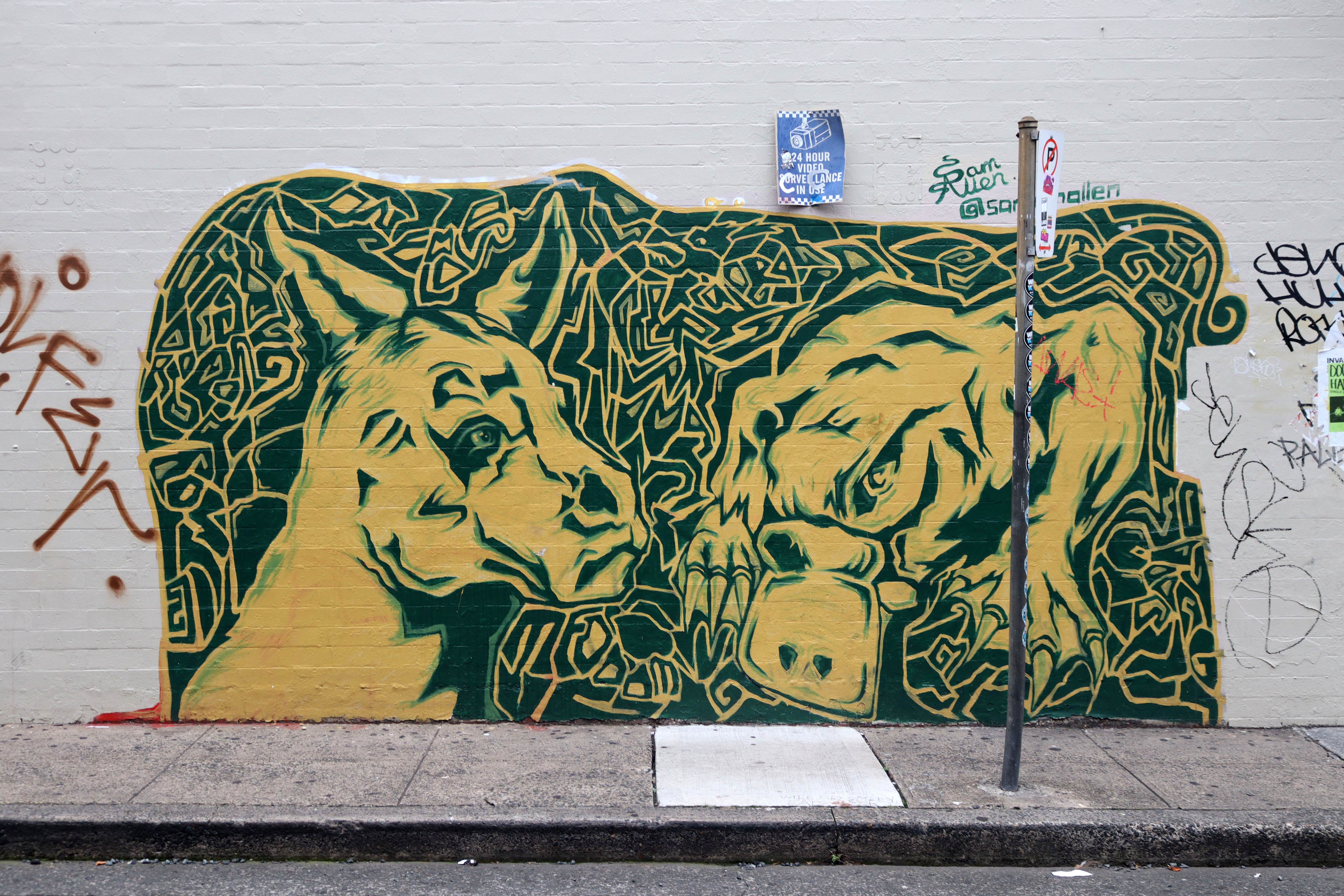 Untitled by Sam Allen | Street Art NSW