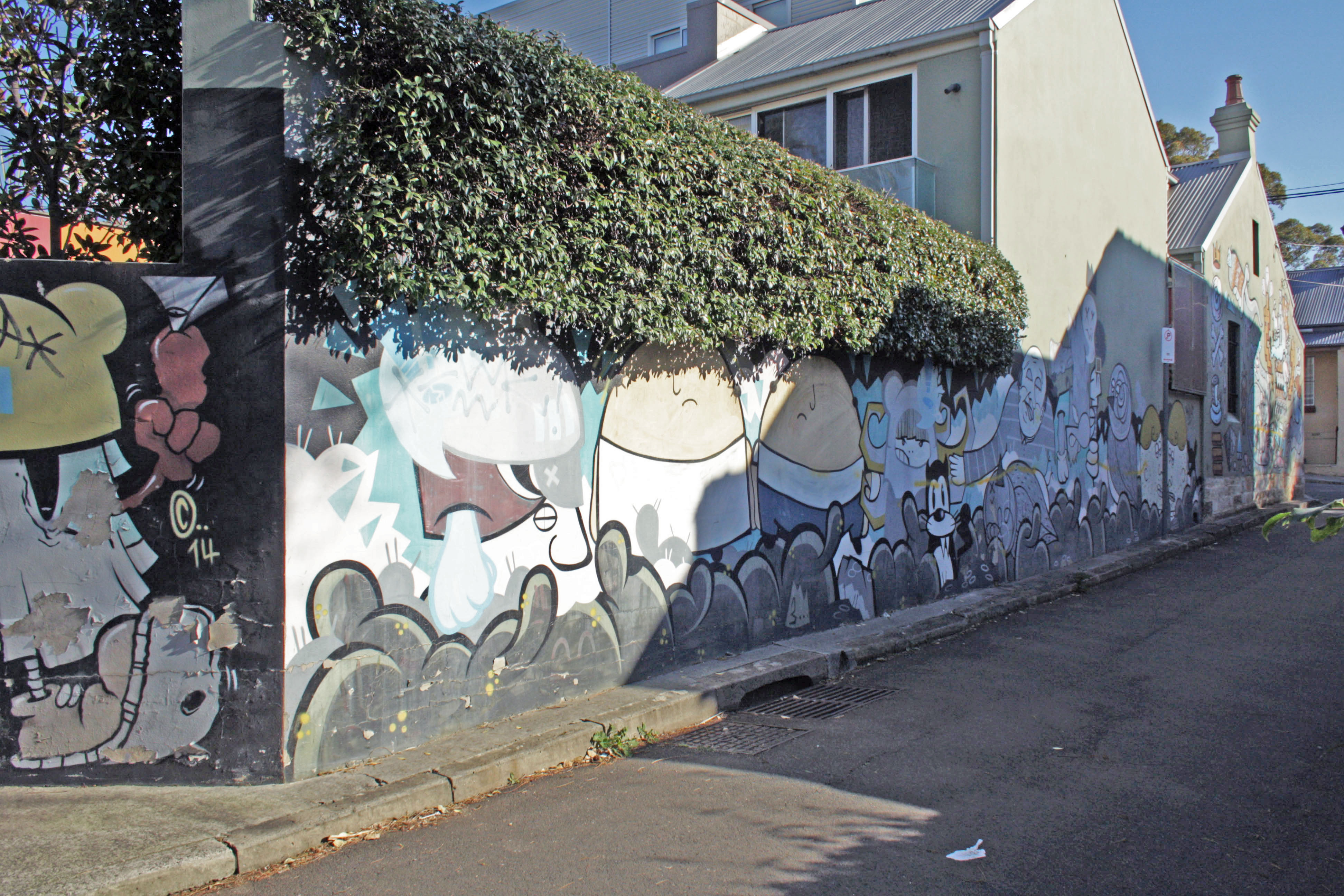 Untitled by Hazzybee | Street Art NSW