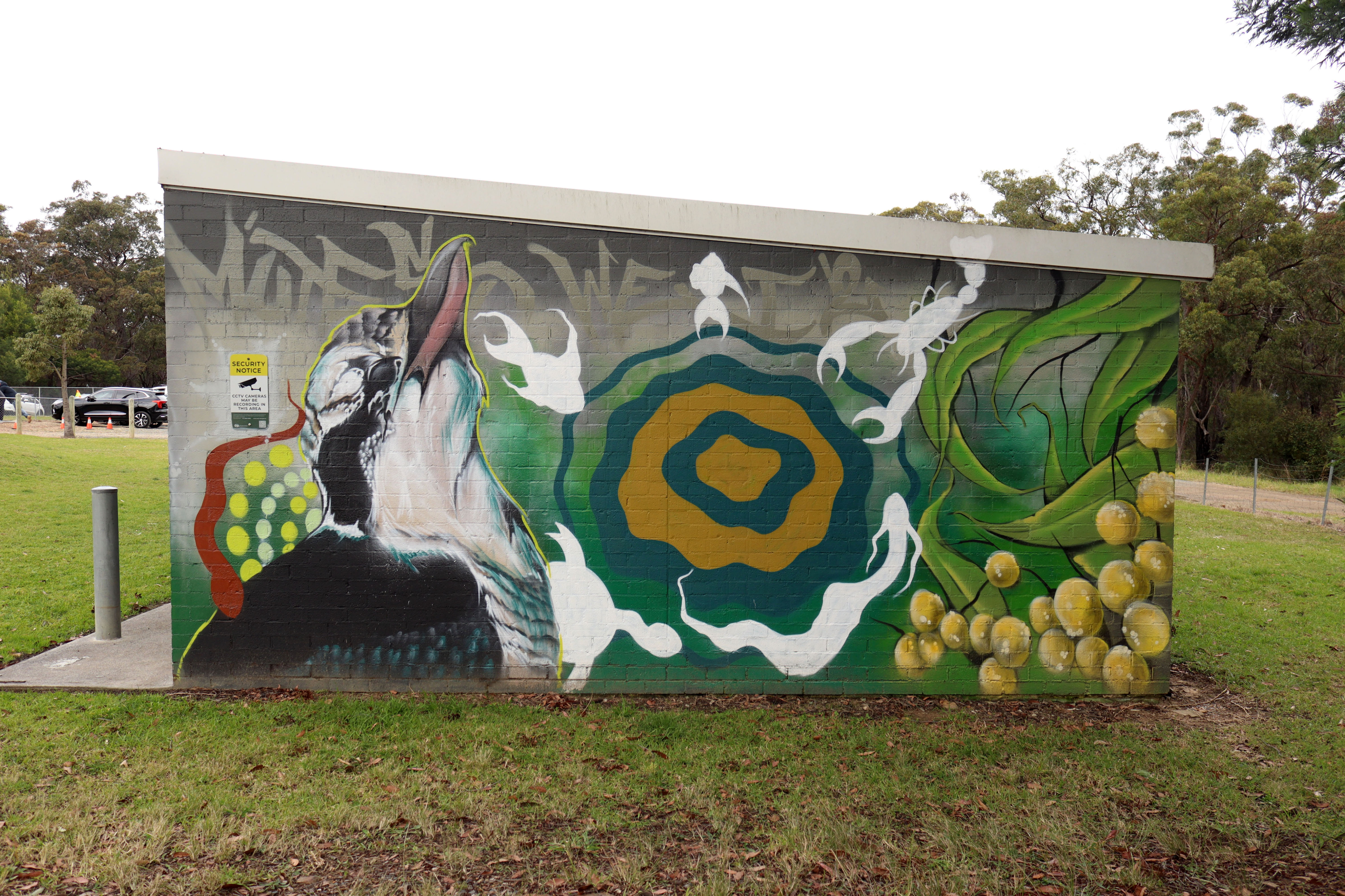 Untitled by Joe Quilter | Street Art NSW