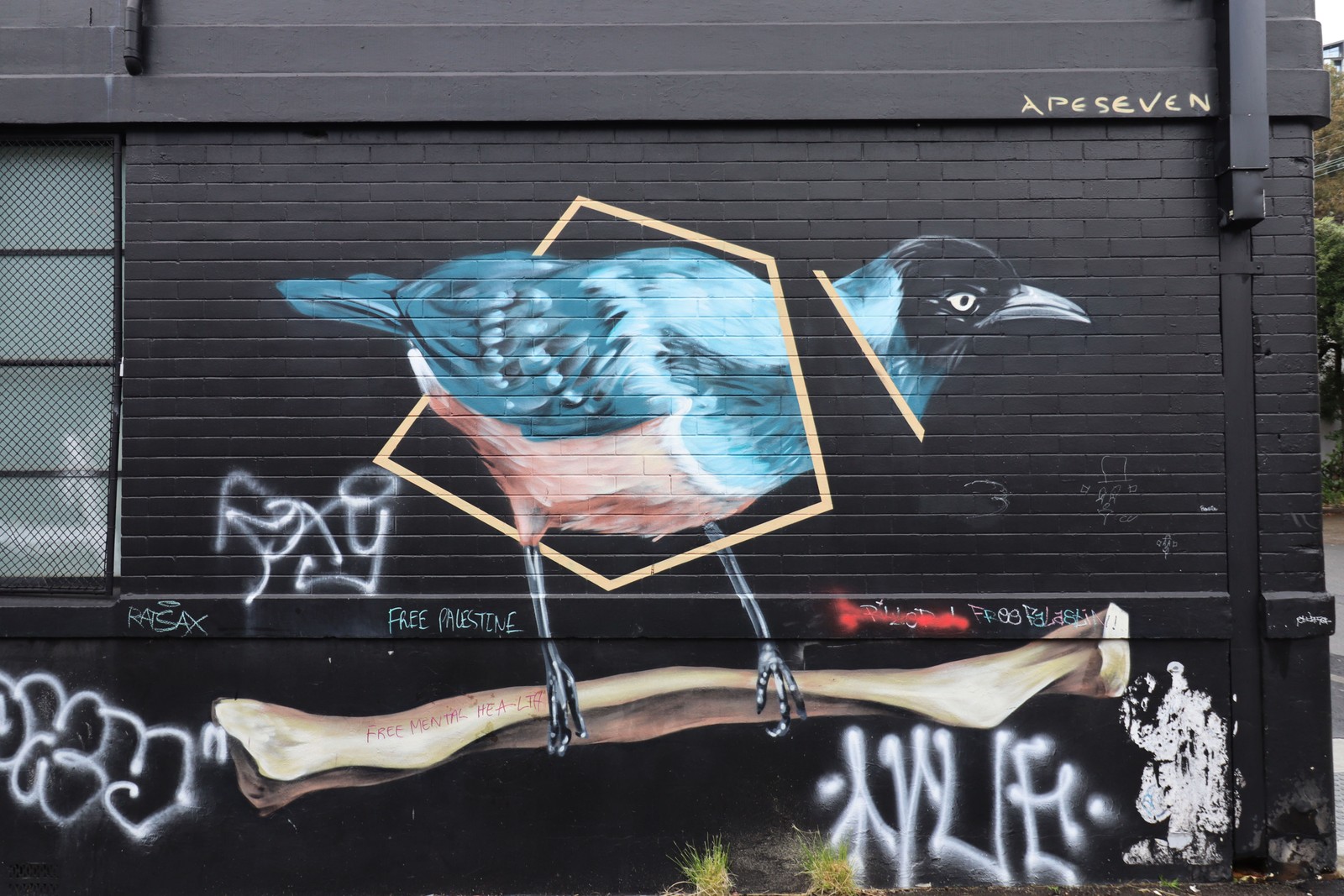 Displacement by Apeseven | Street Art NSW
