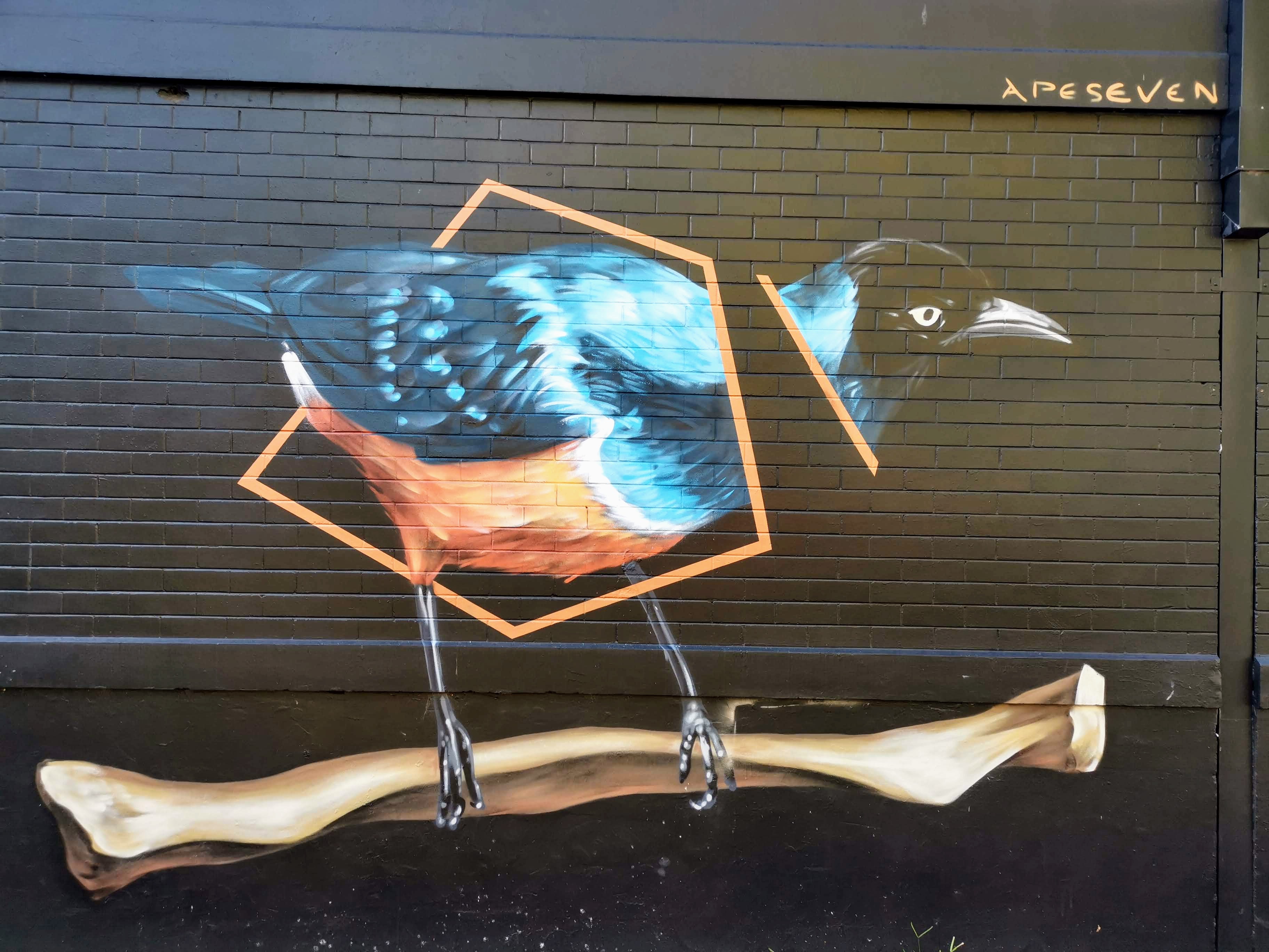 Displacement by Apeseven | Street Art NSW