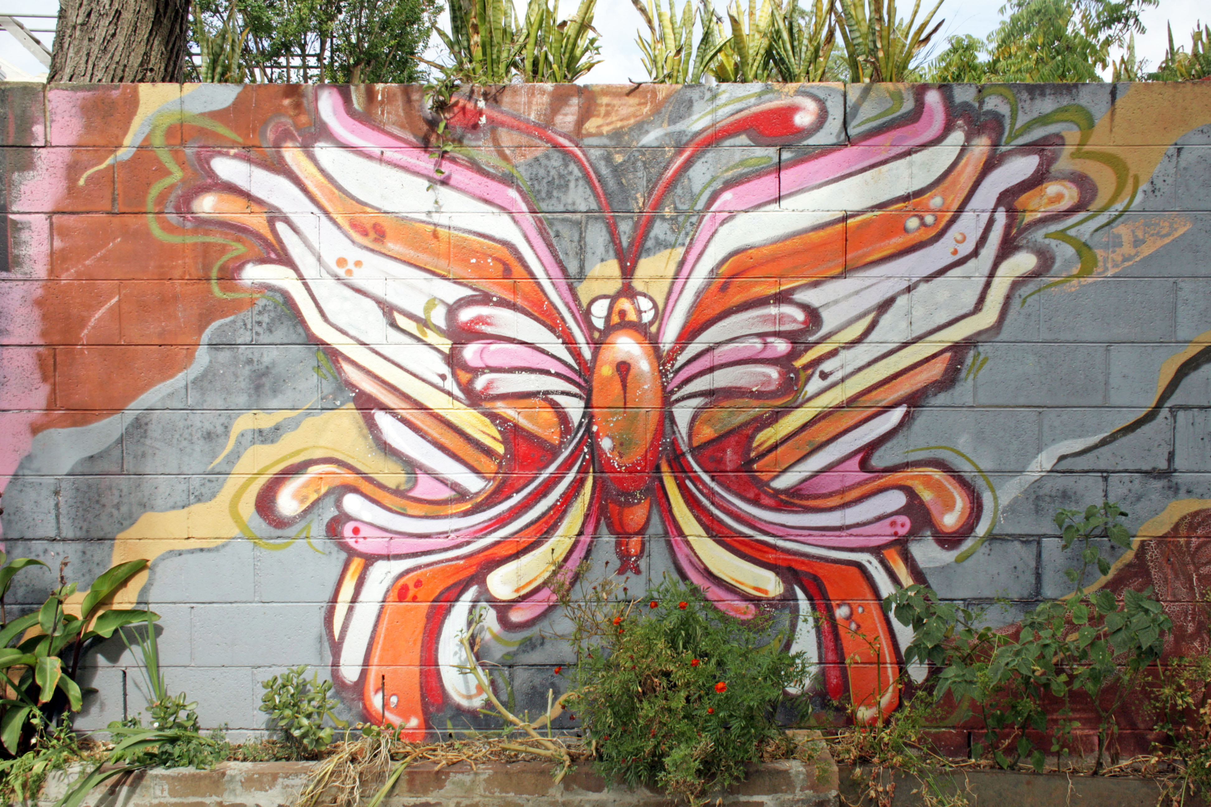 Untitled | Street Art NSW
