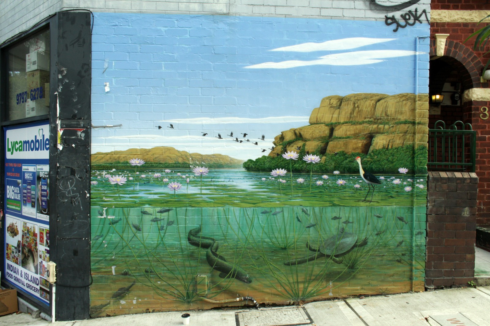 Kakadu National Park by Robin Martin | Street Art NSW