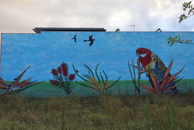Eastern Rosella on Birds of Paradise