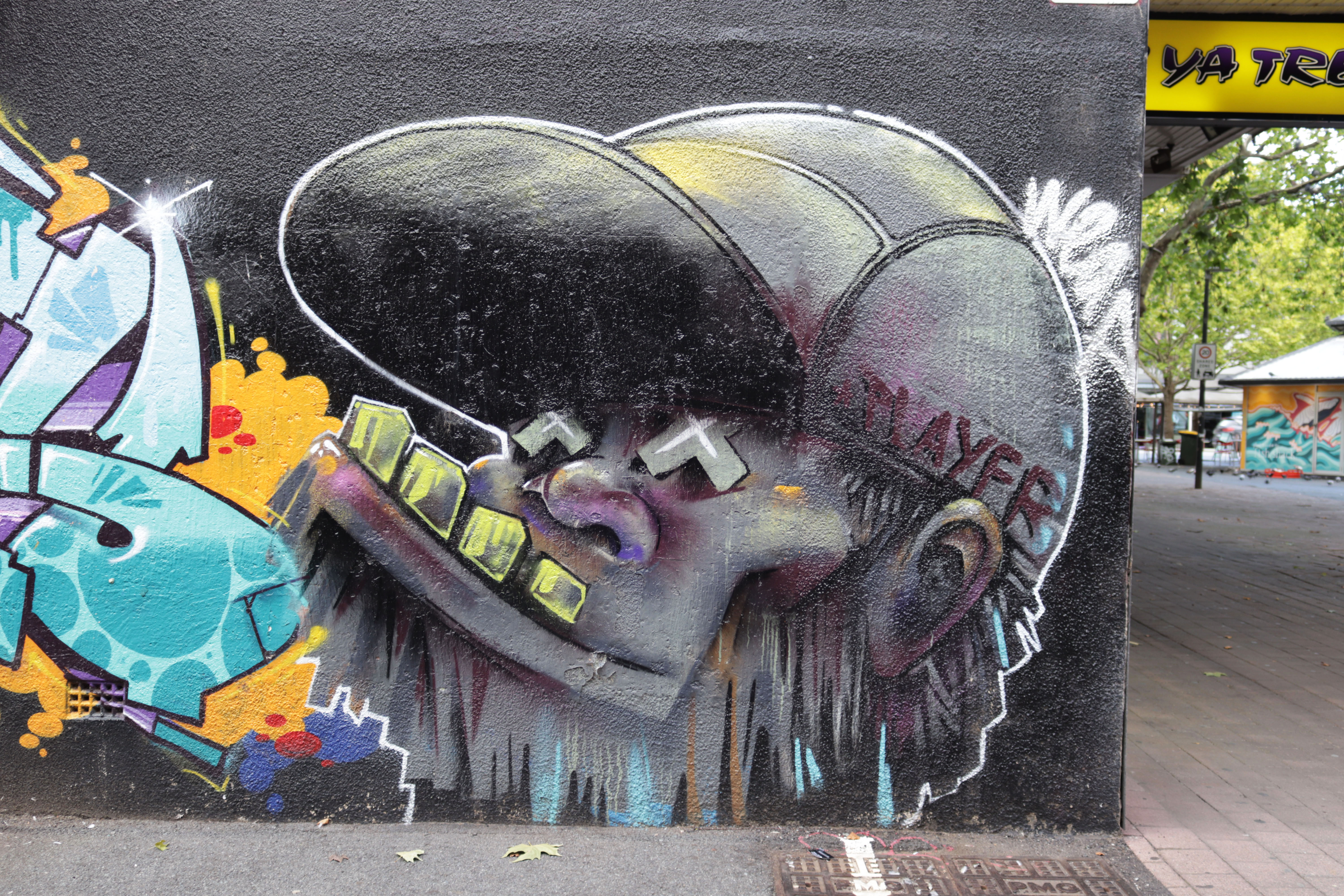Untitled by Dai Cameron | Street Art NSW