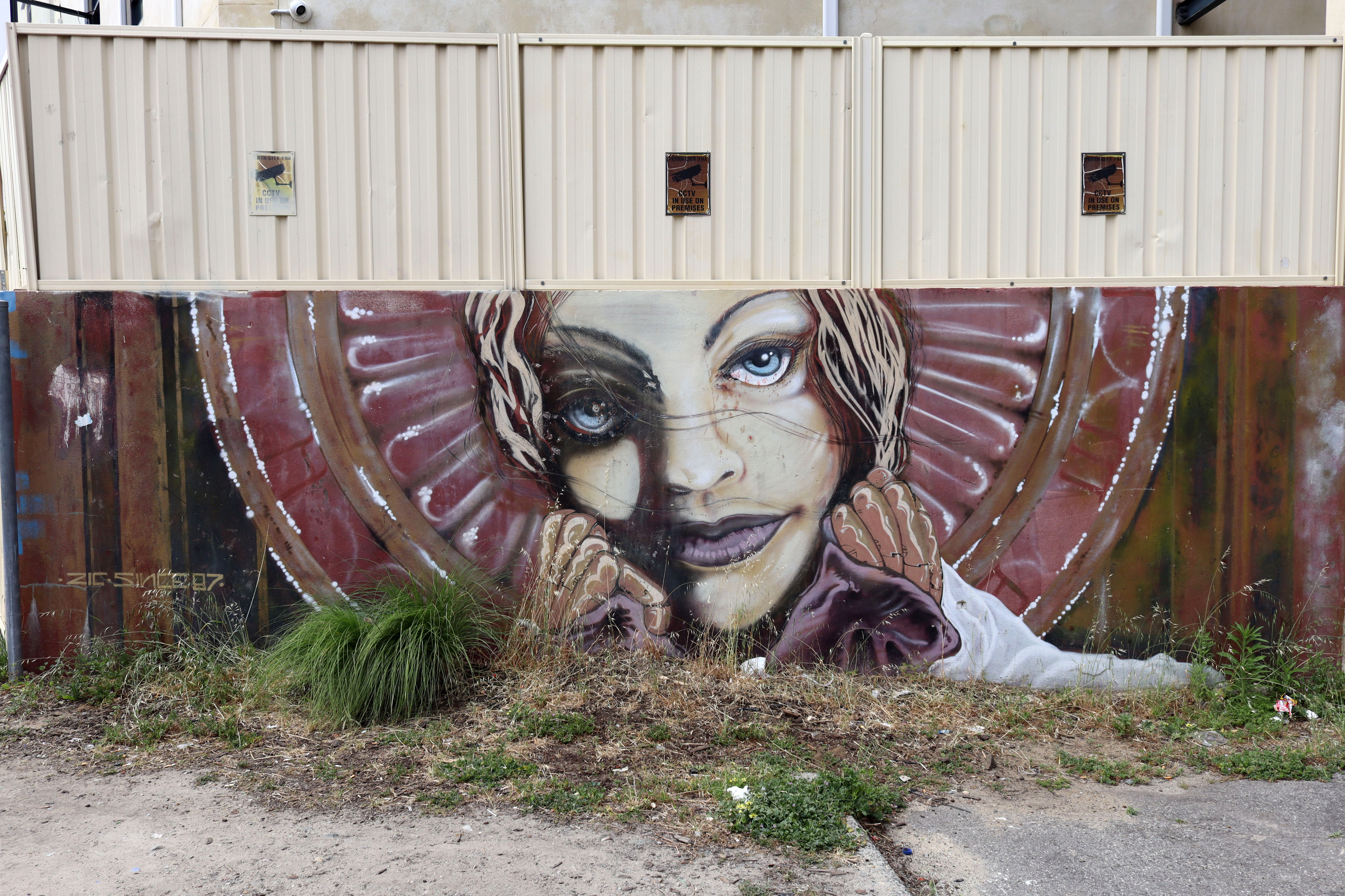 Untitled | Street Art NSW