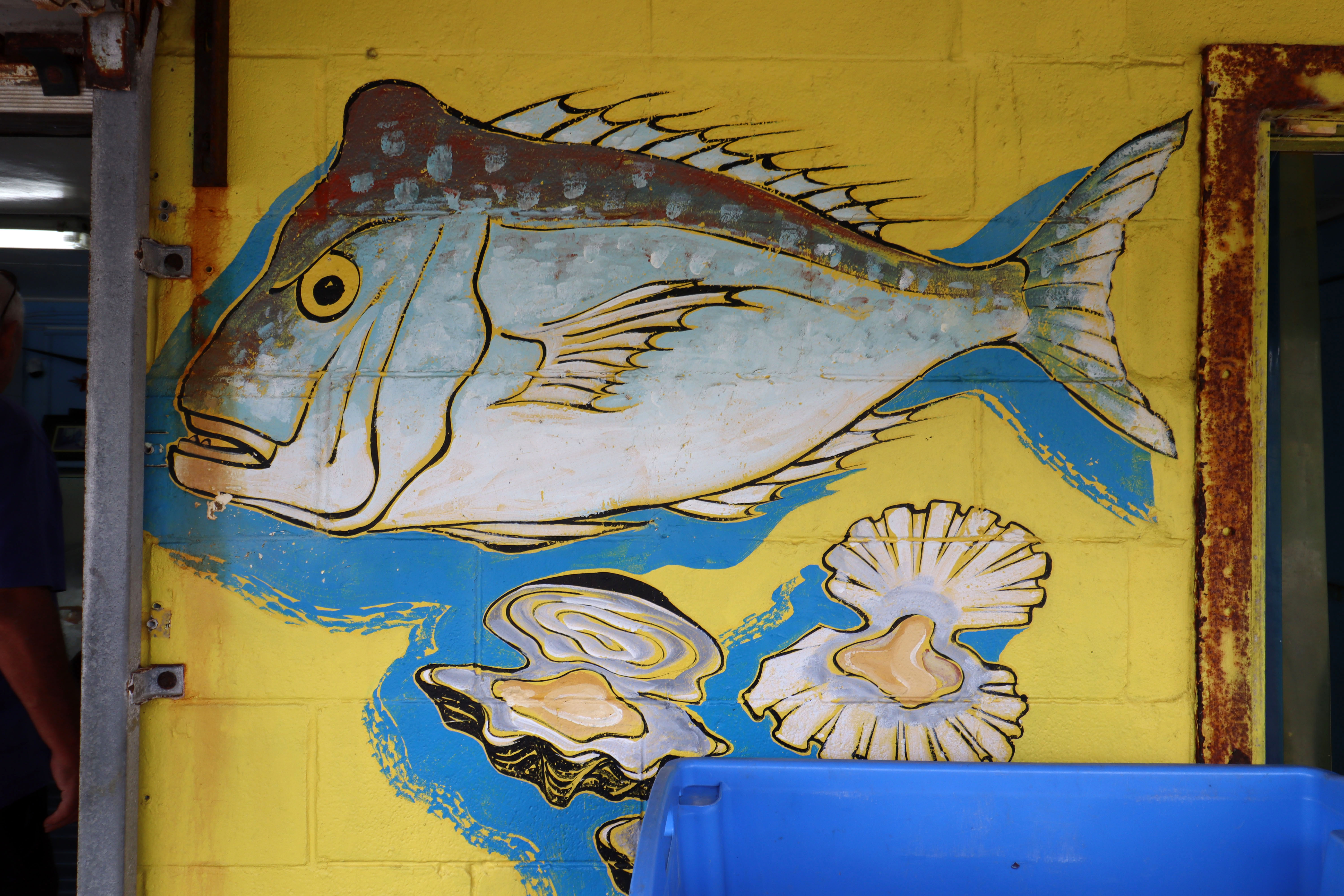 Untitled | Street Art NSW