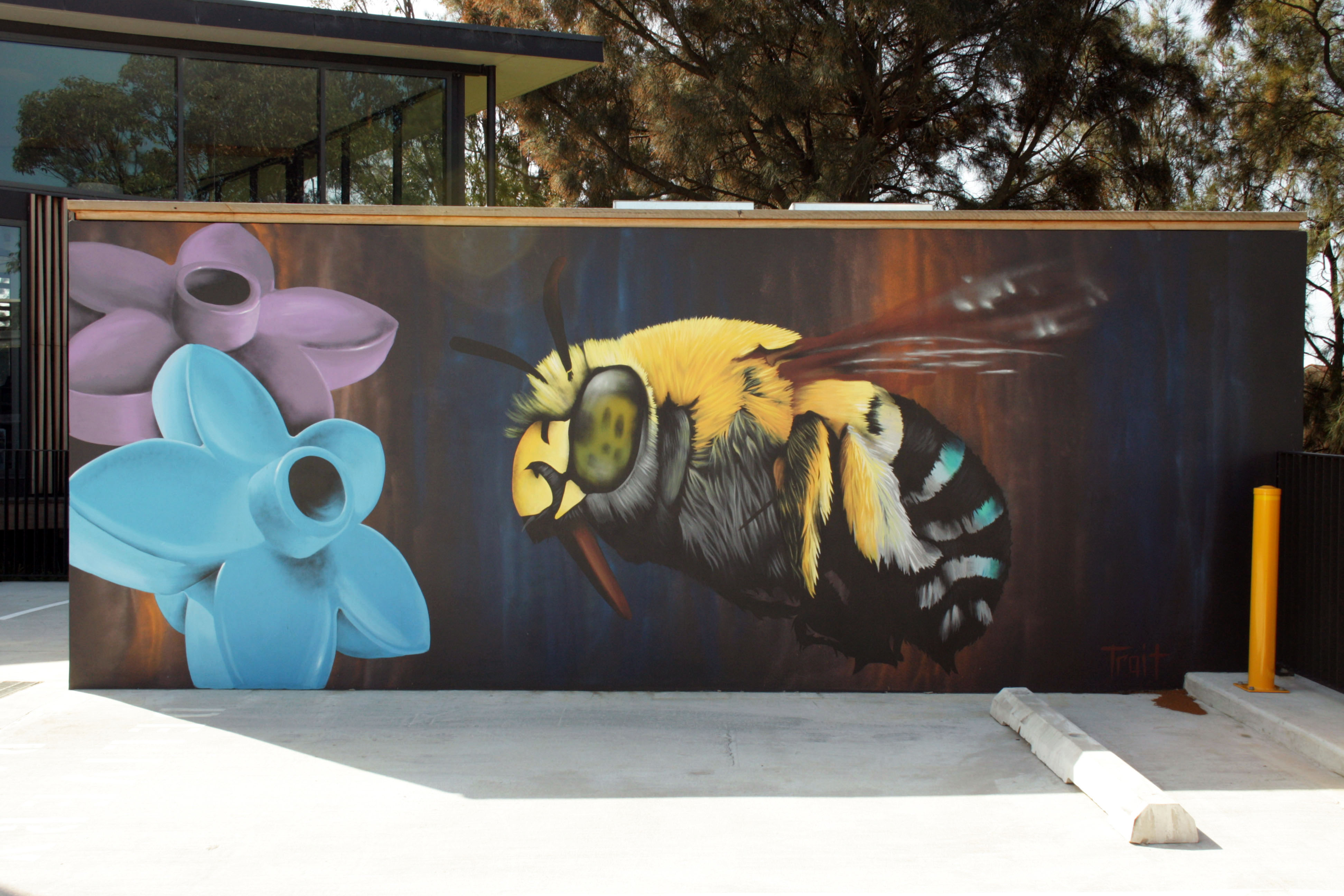 Plastic Pollination by Trait | Street Art NSW