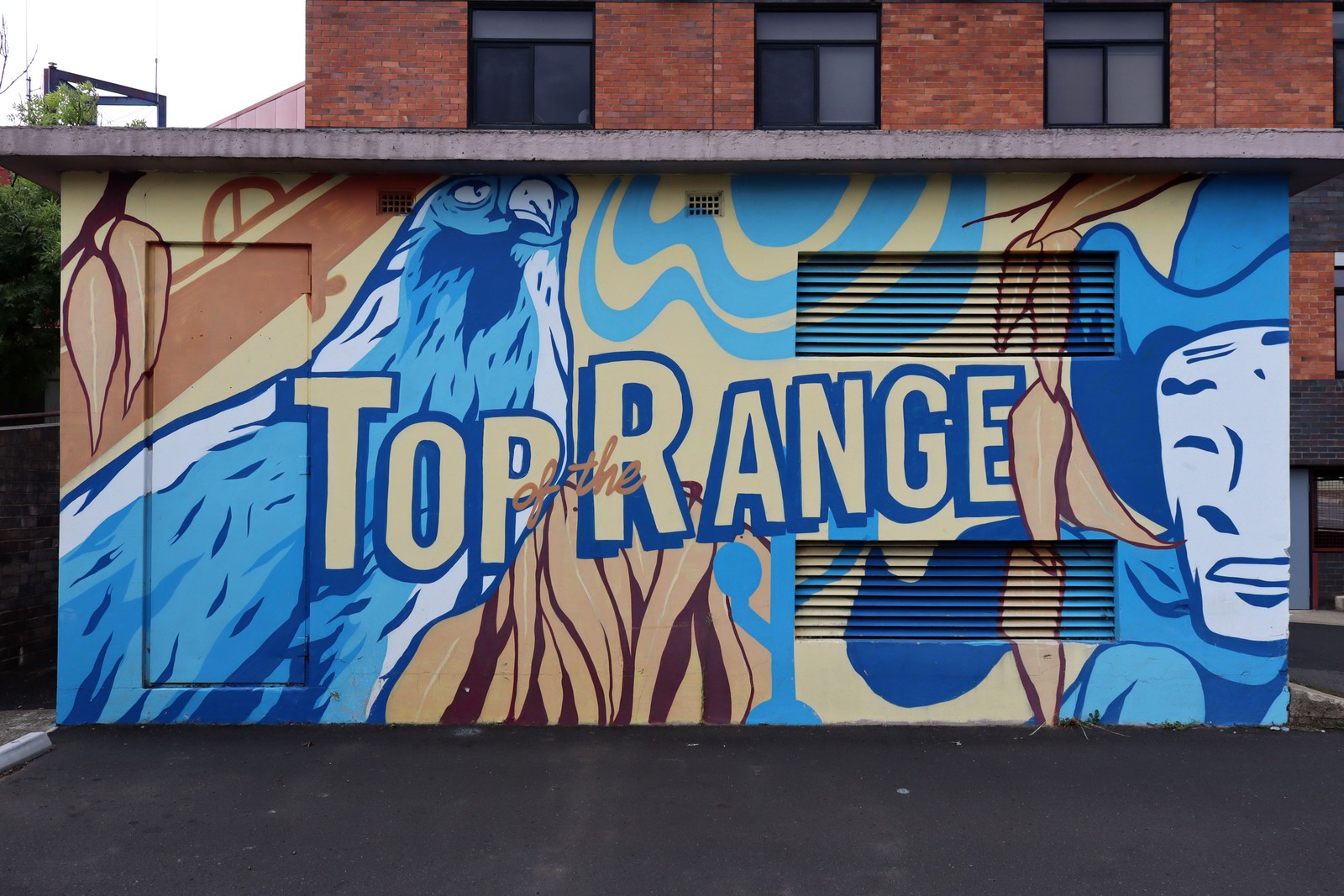 Top of the Range by Silly Pear | Street Art NSW