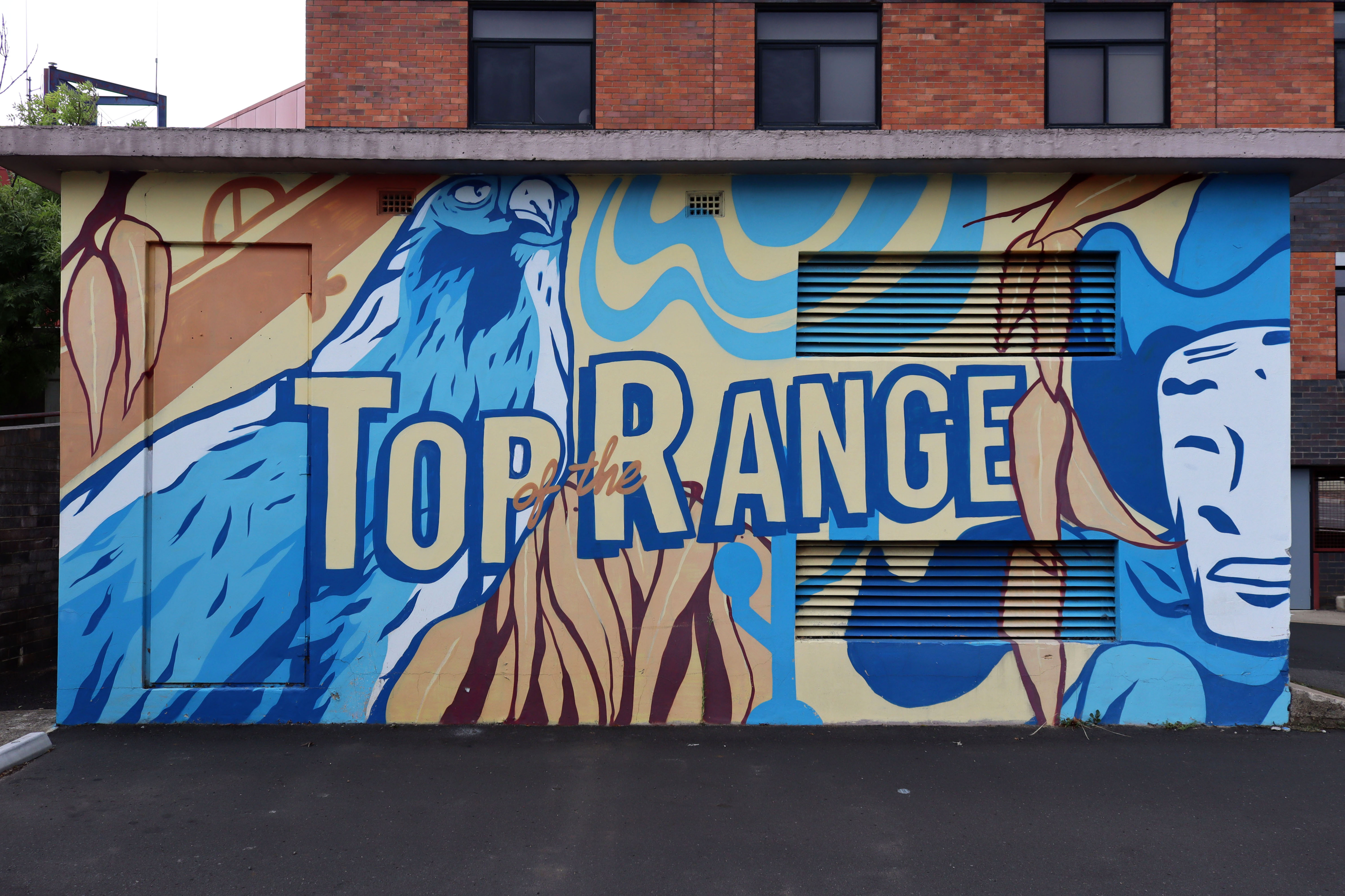 Top of the Range by Silly Pear | Street Art NSW