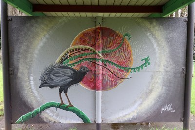 Lyrebird and Blood Moon