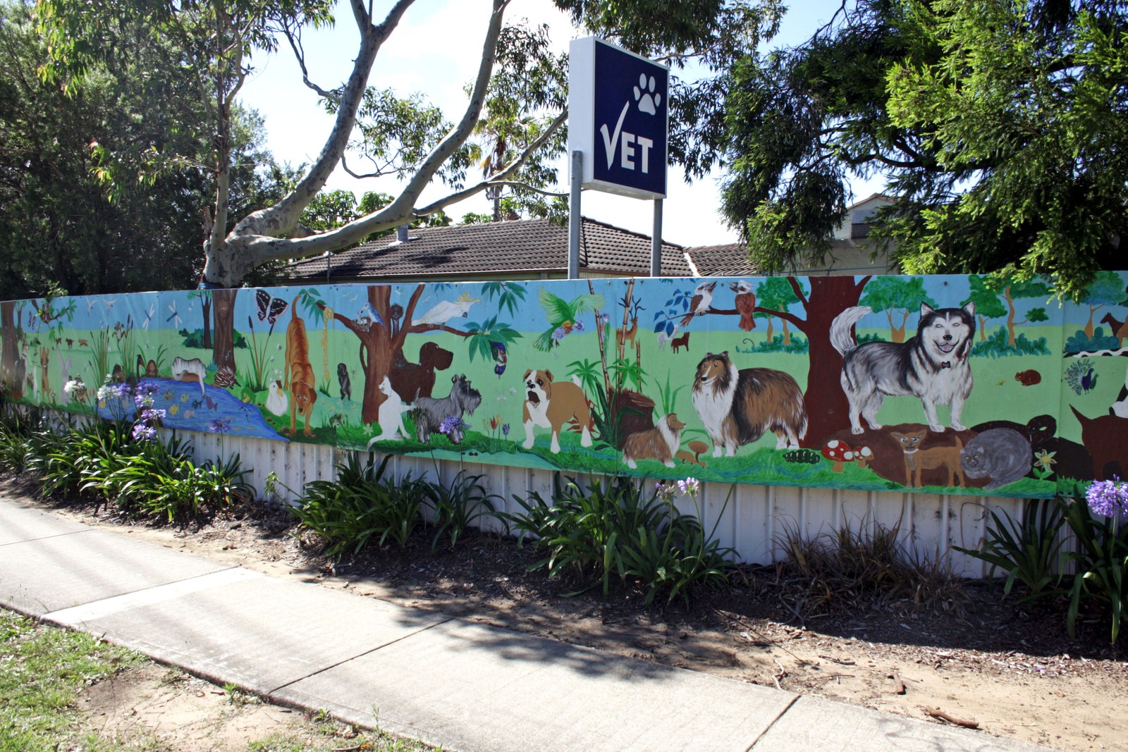Untitled | Street Art NSW