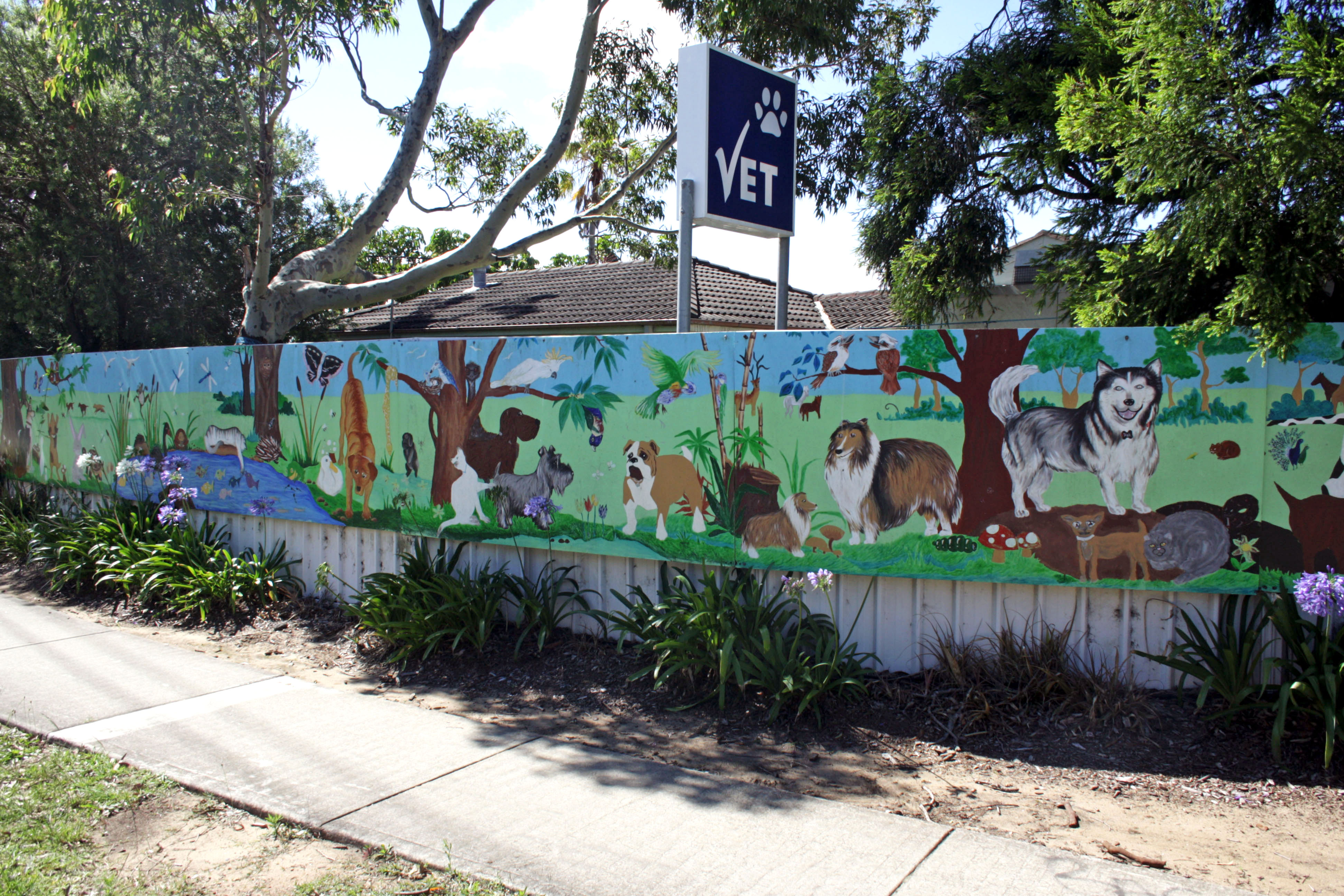 Untitled | Street Art NSW