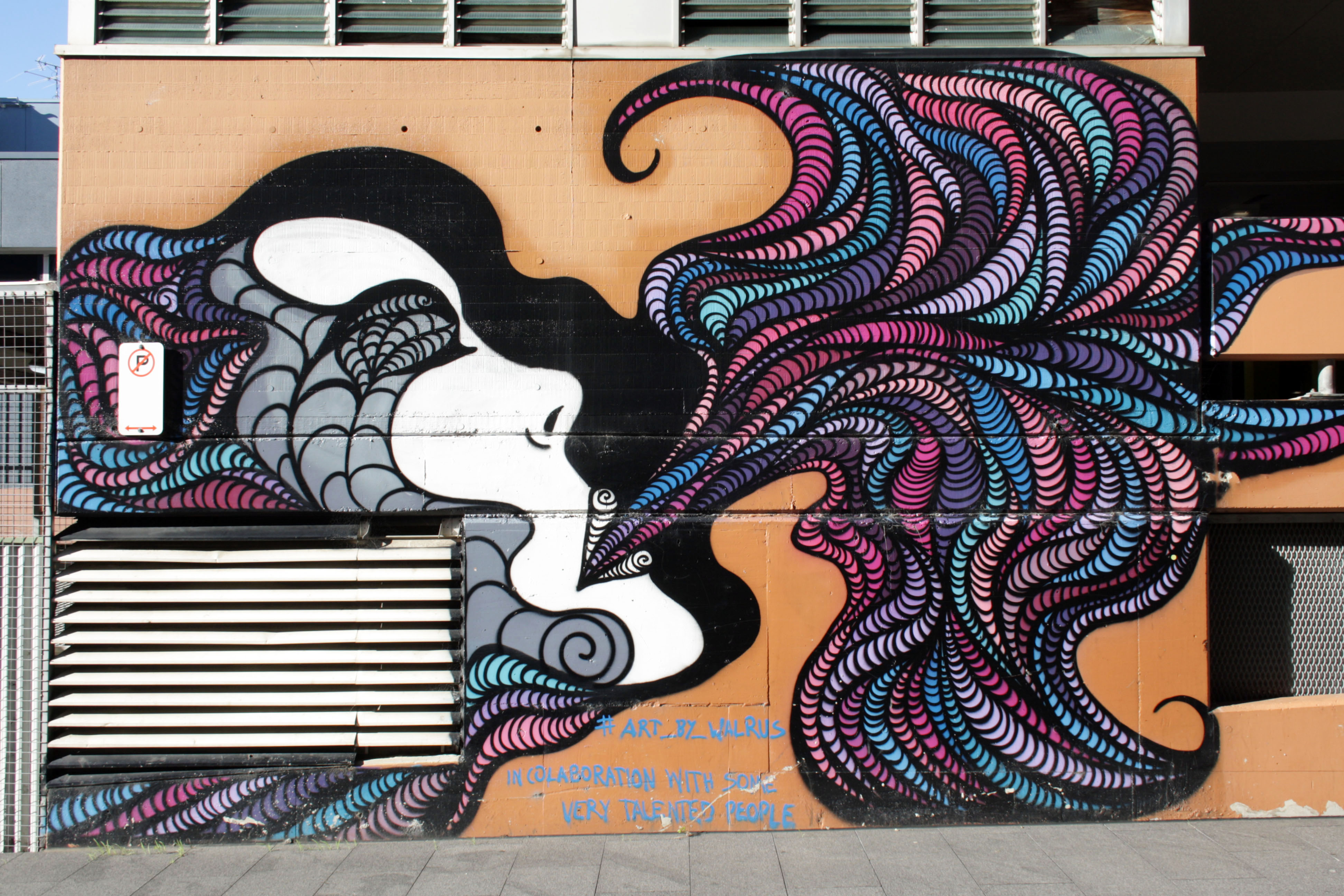 Untitled by Art By Walrus | Street Art NSW