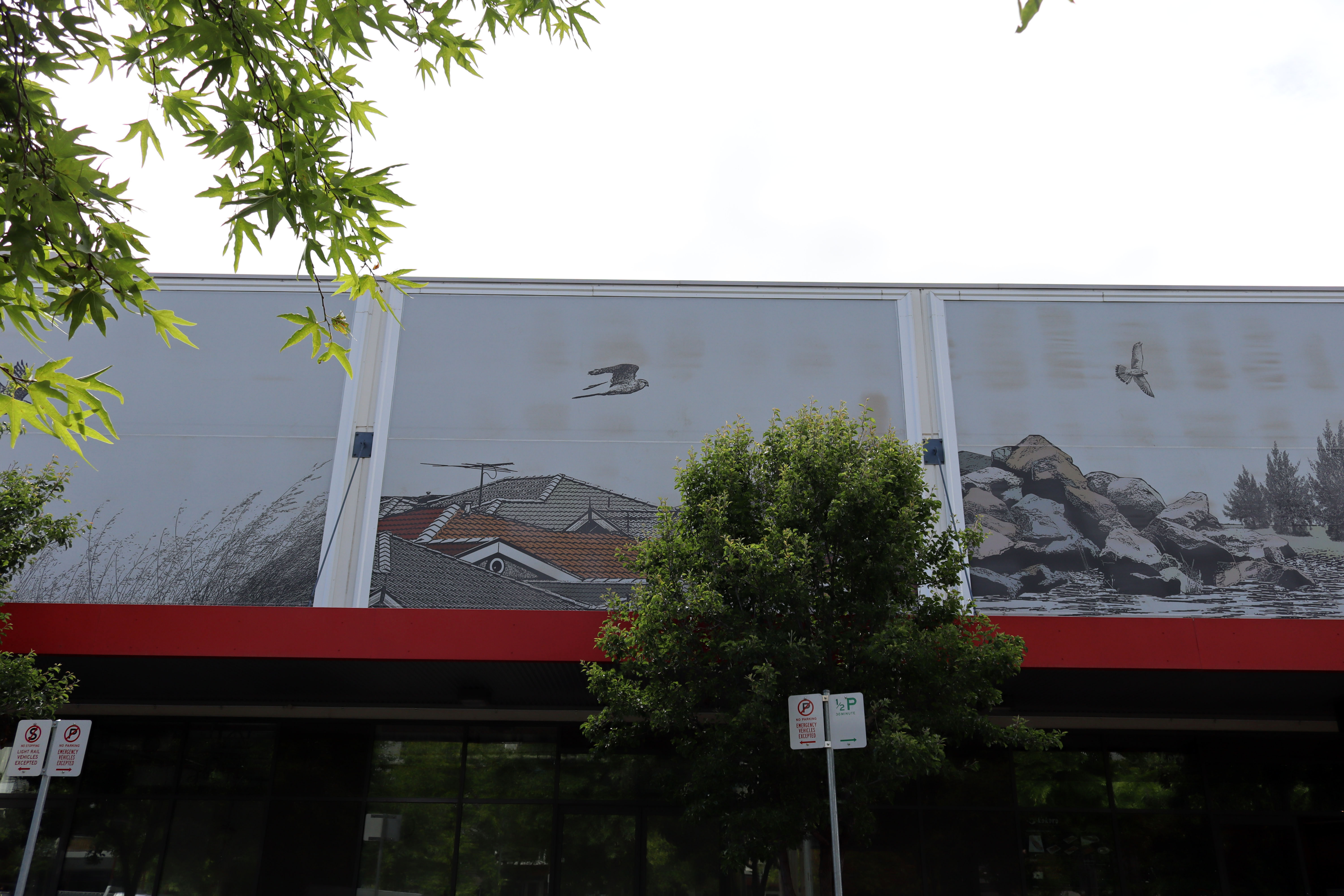 Untitled | Street Art NSW