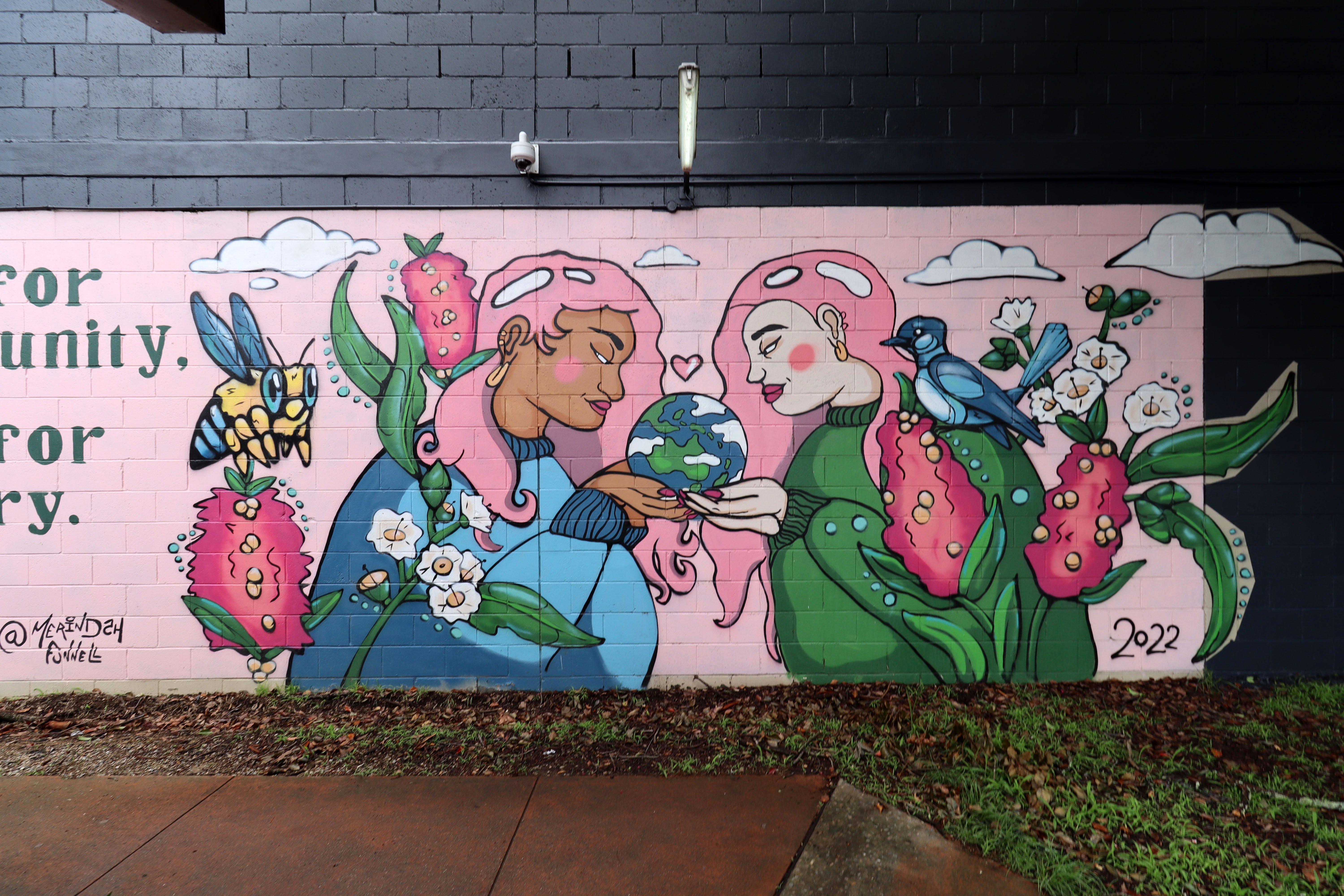 Care for Community, Care for Country by Ailie Banks | Street Art NSW
