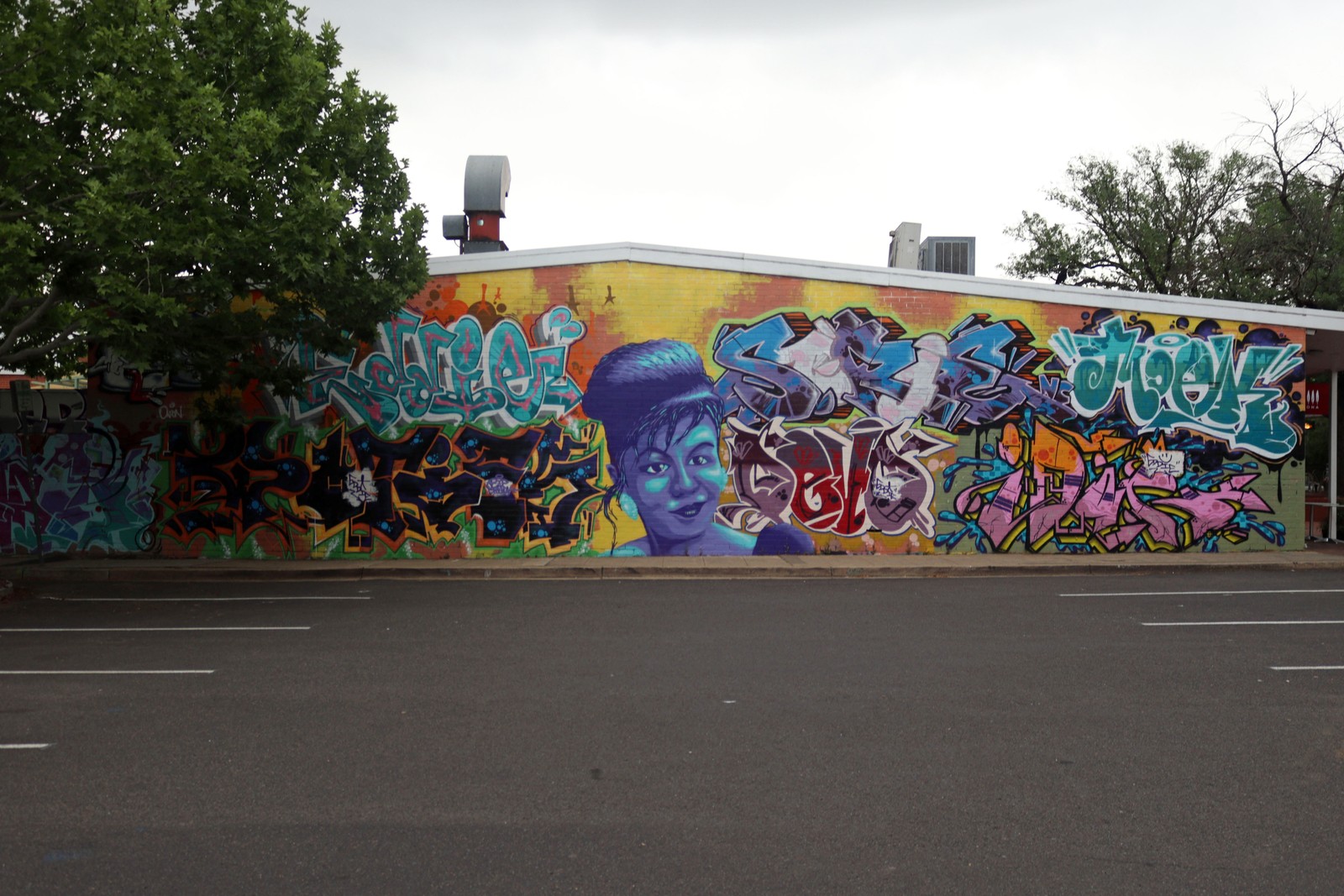 Sharon by EddieMoArt | Street Art NSW