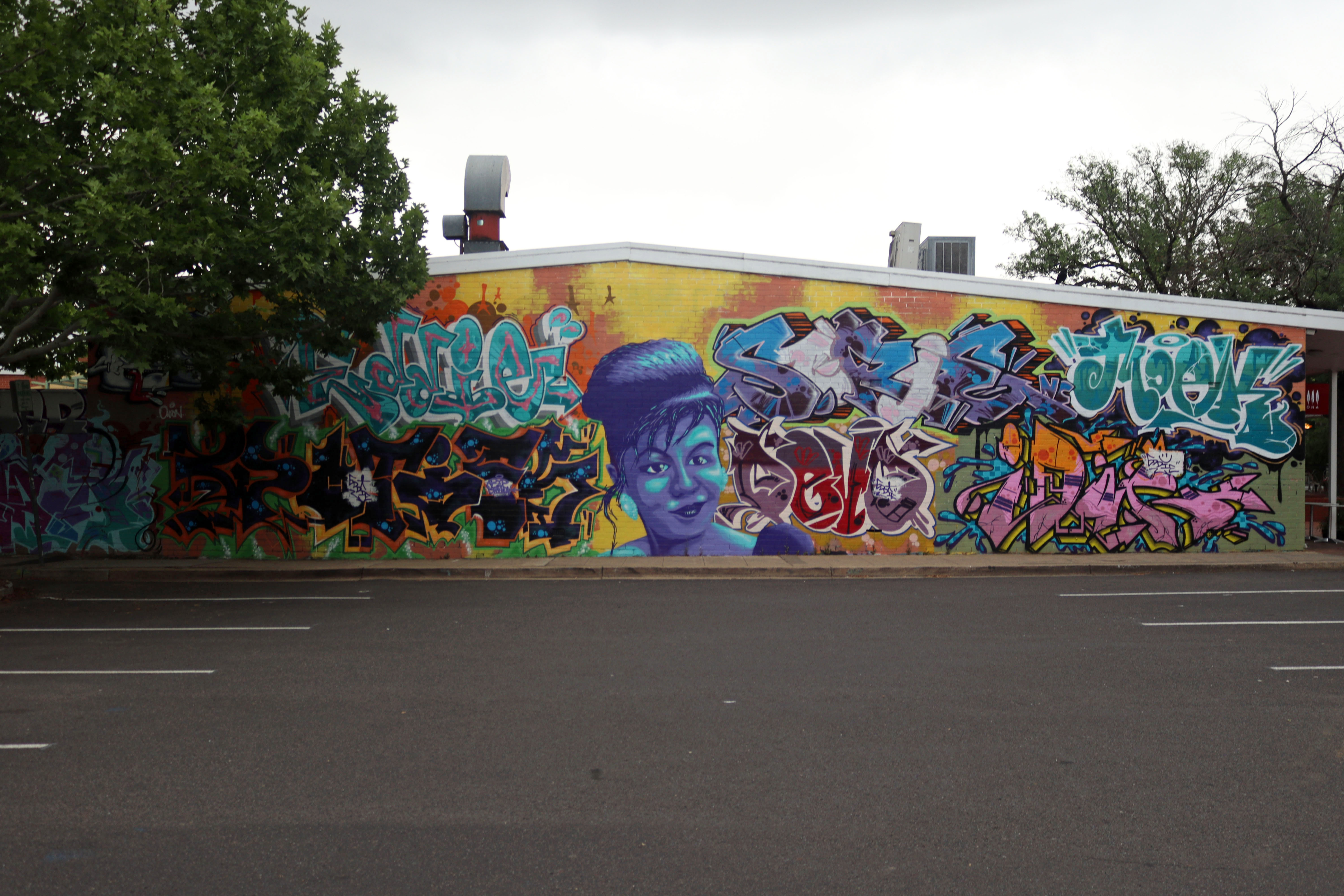 Sharon by EddieMoArt | Street Art NSW