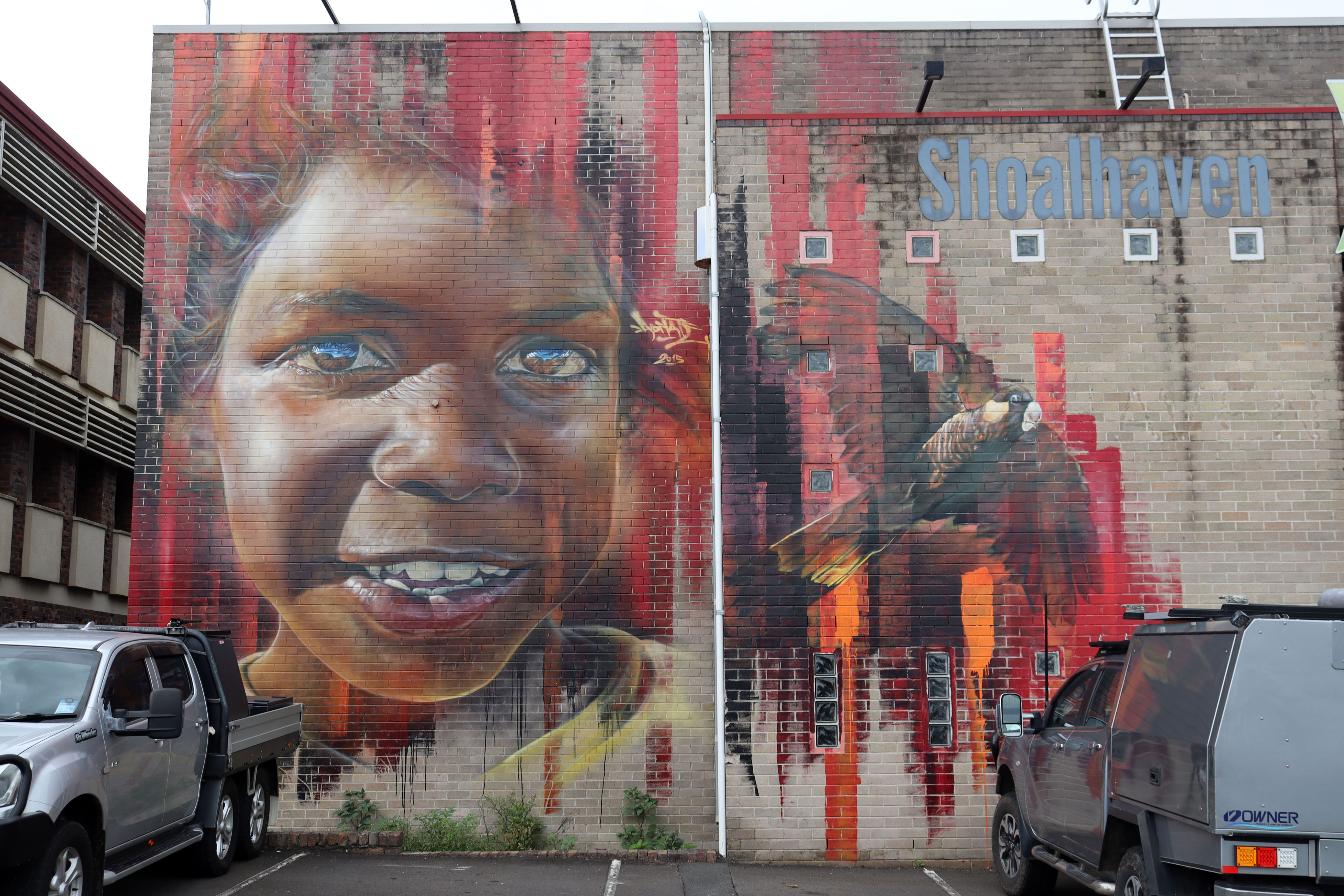 Celebrating Aboriginal Heritage by Adnate | Street Art NSW