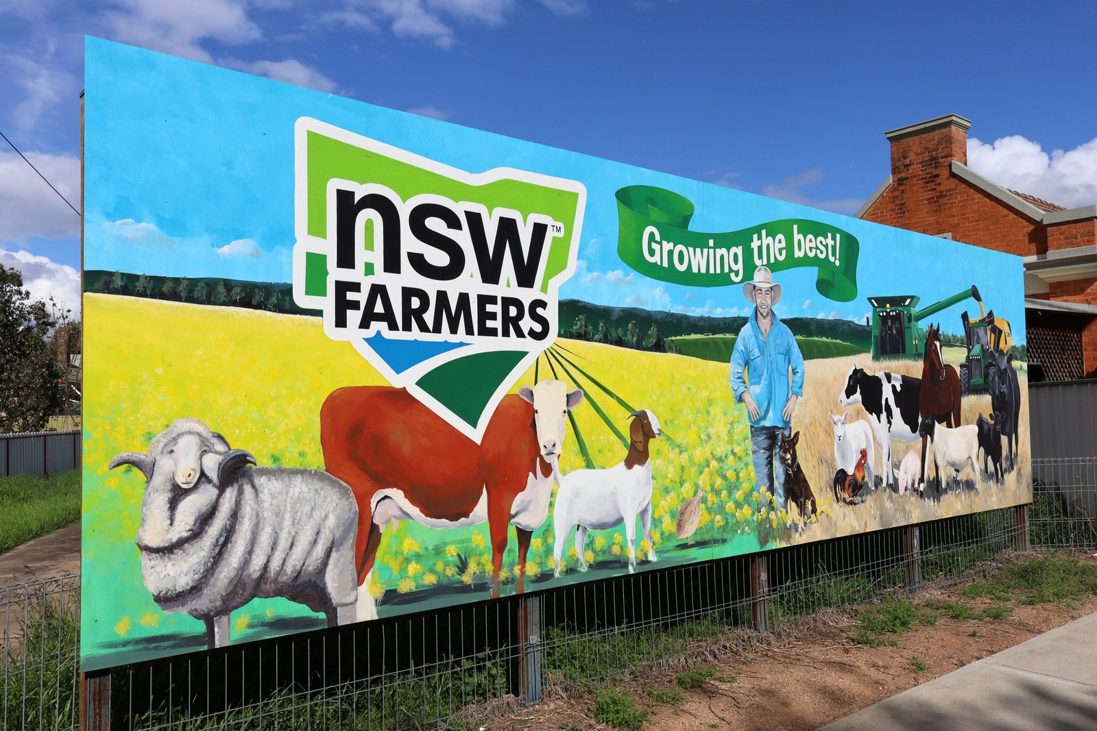 Growing the Best! | Street Art NSW