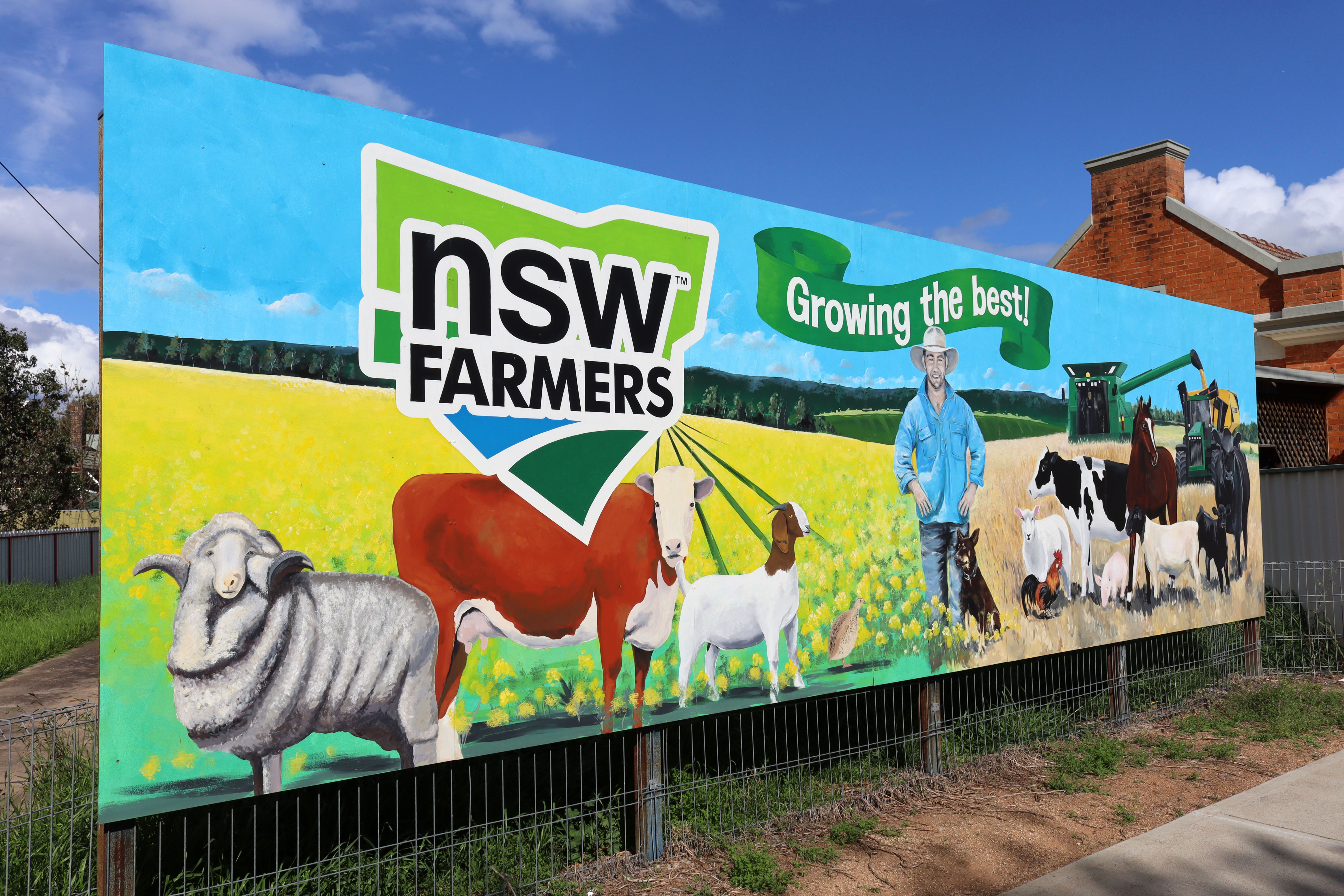 Growing the Best! | Street Art NSW