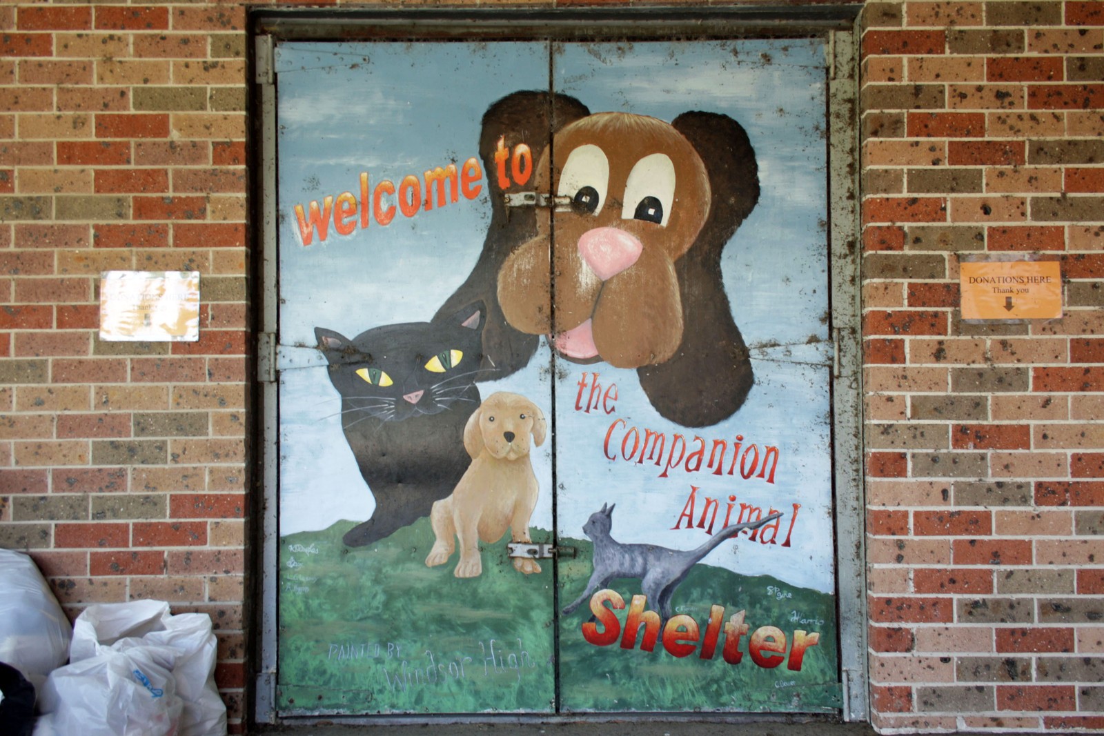 Welcome to the Companion Animal Shelter by Windsor High School | Street Art NSW