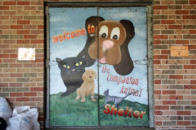 Welcome to the Companion Animal Shelter
