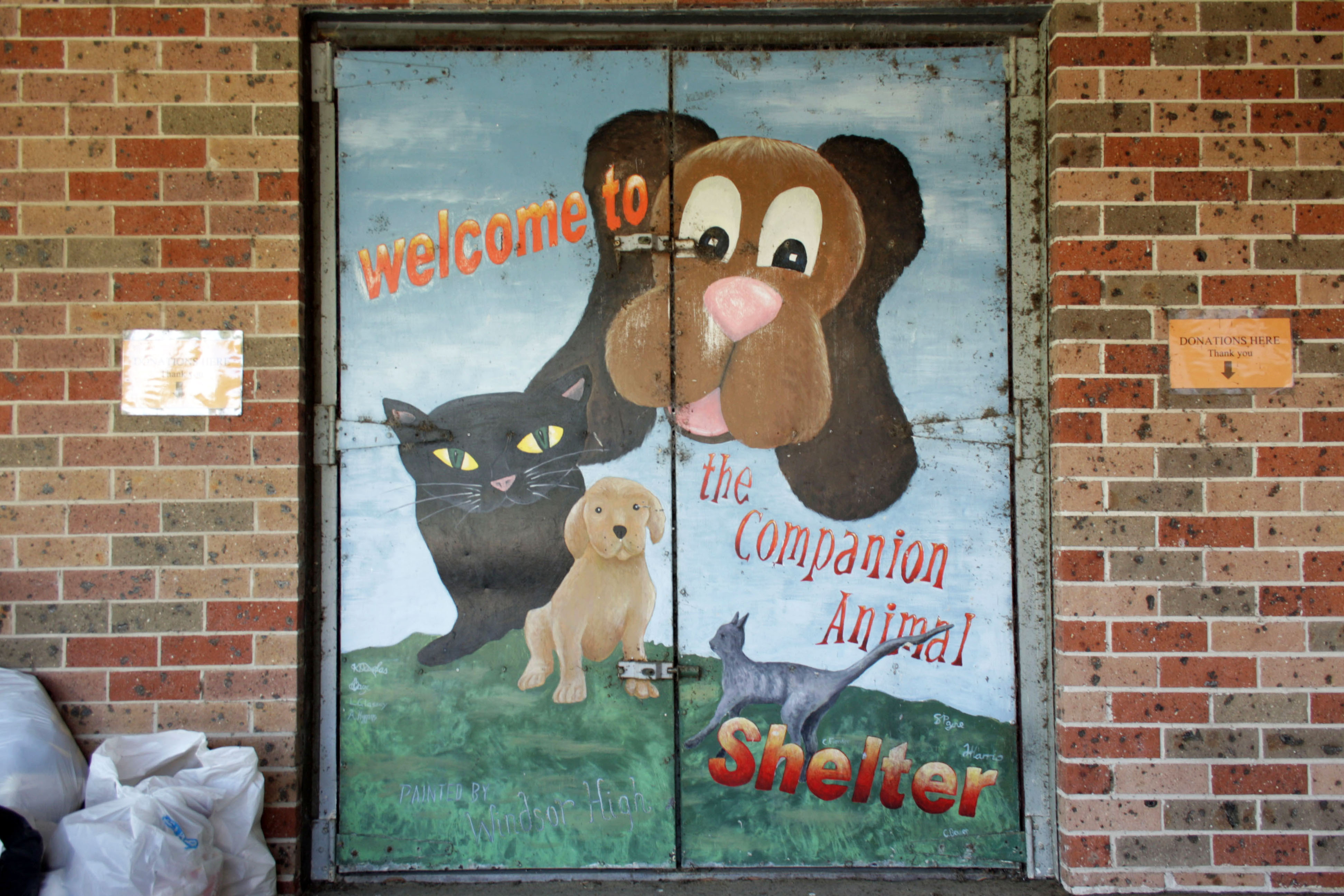 Welcome to the Companion Animal Shelter by Windsor High School | Street Art NSW