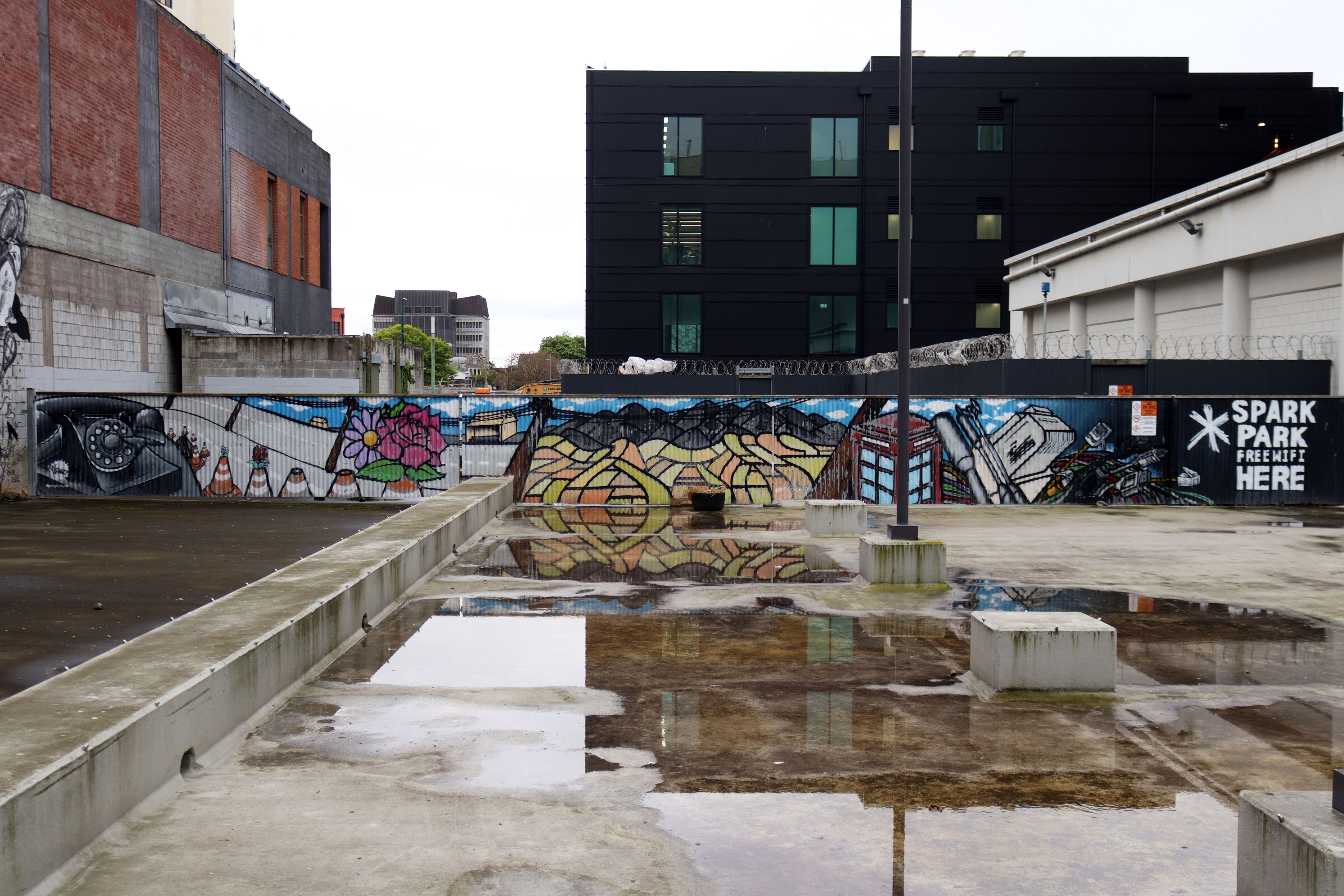 Spark Park by Wongi 'Freak' Wilson | Street Art NSW
